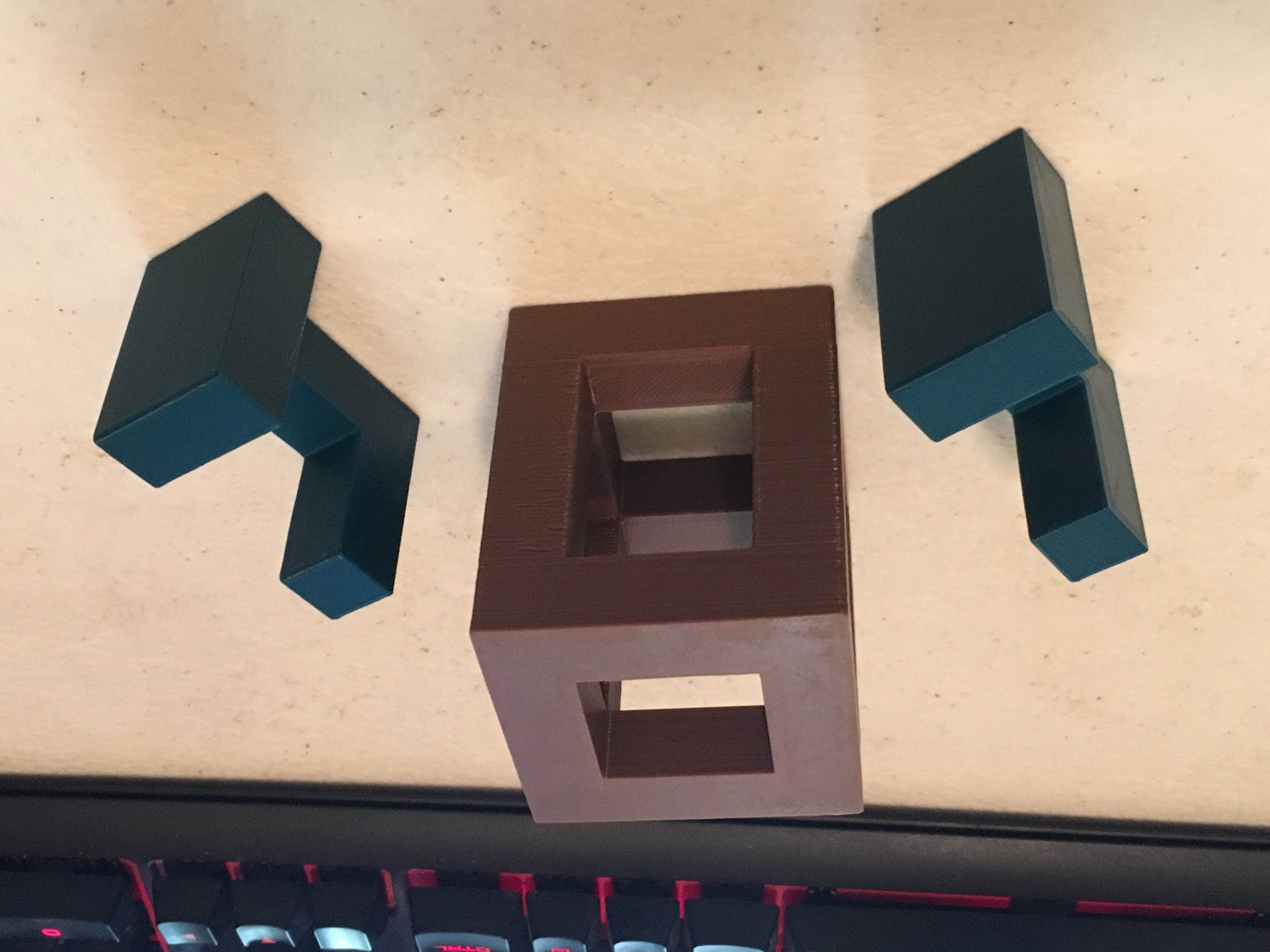 Identical Twins Puzzle