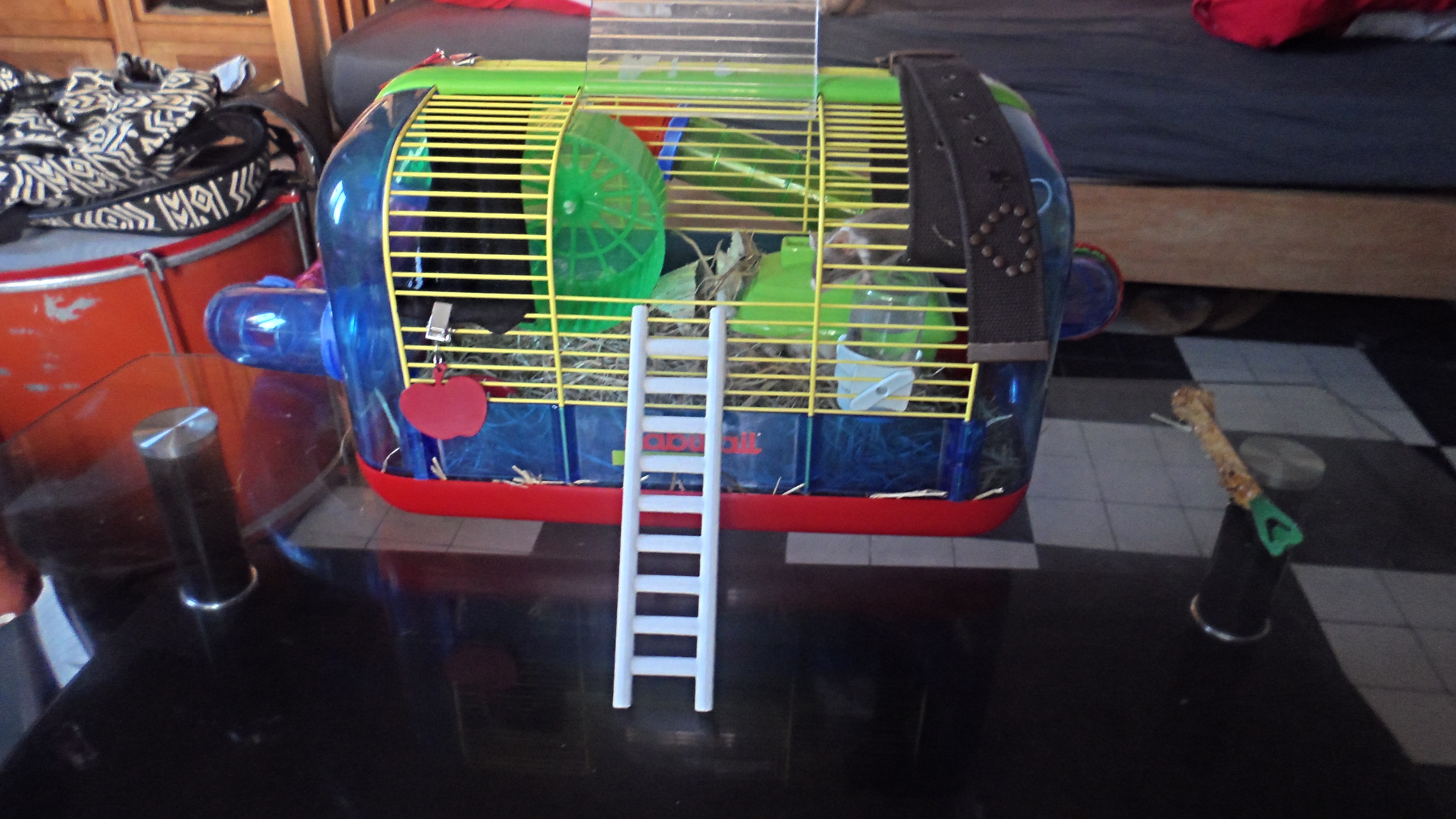 Pet ladder