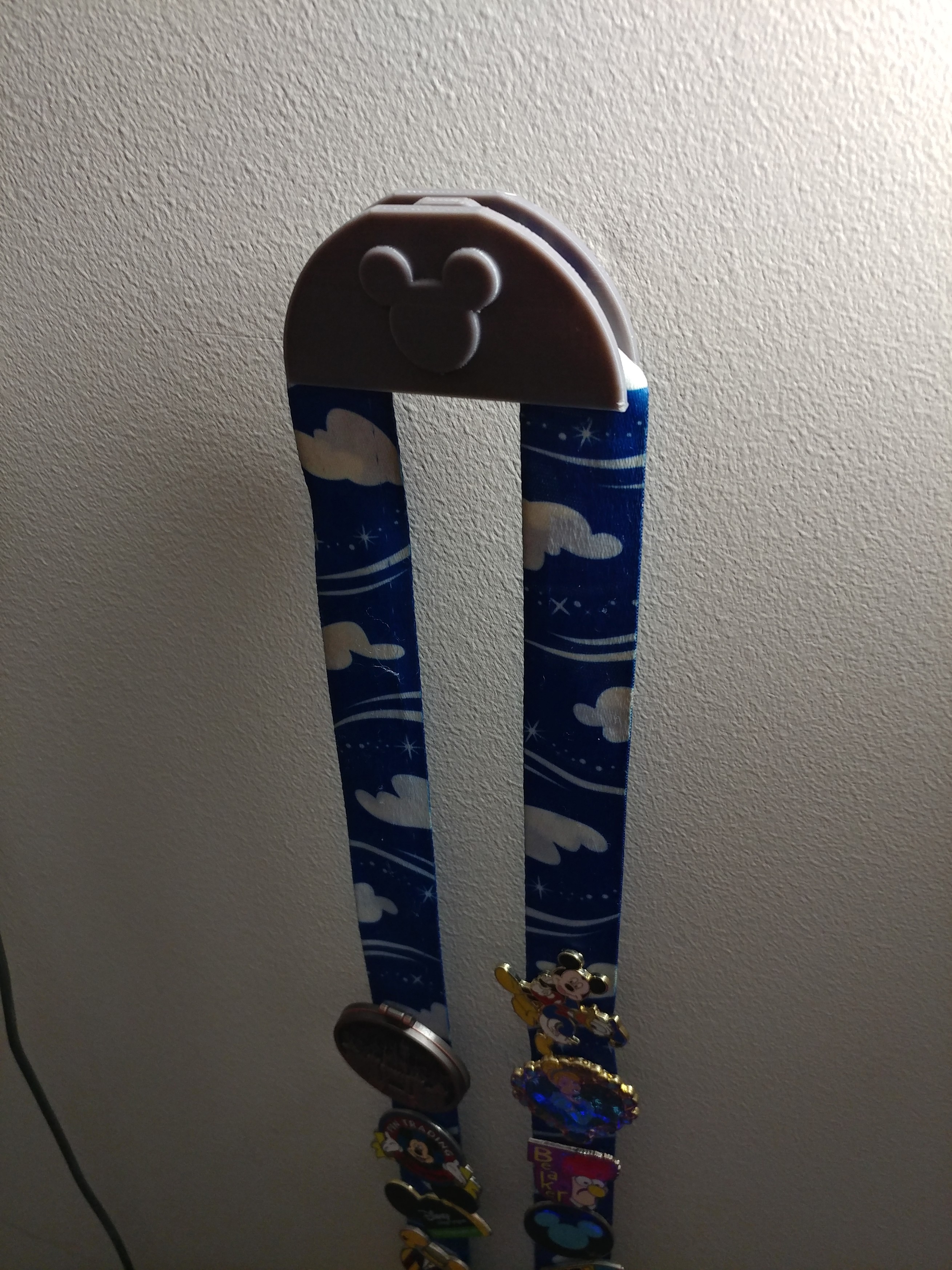 Disney Pin Lanyard Wall Mount