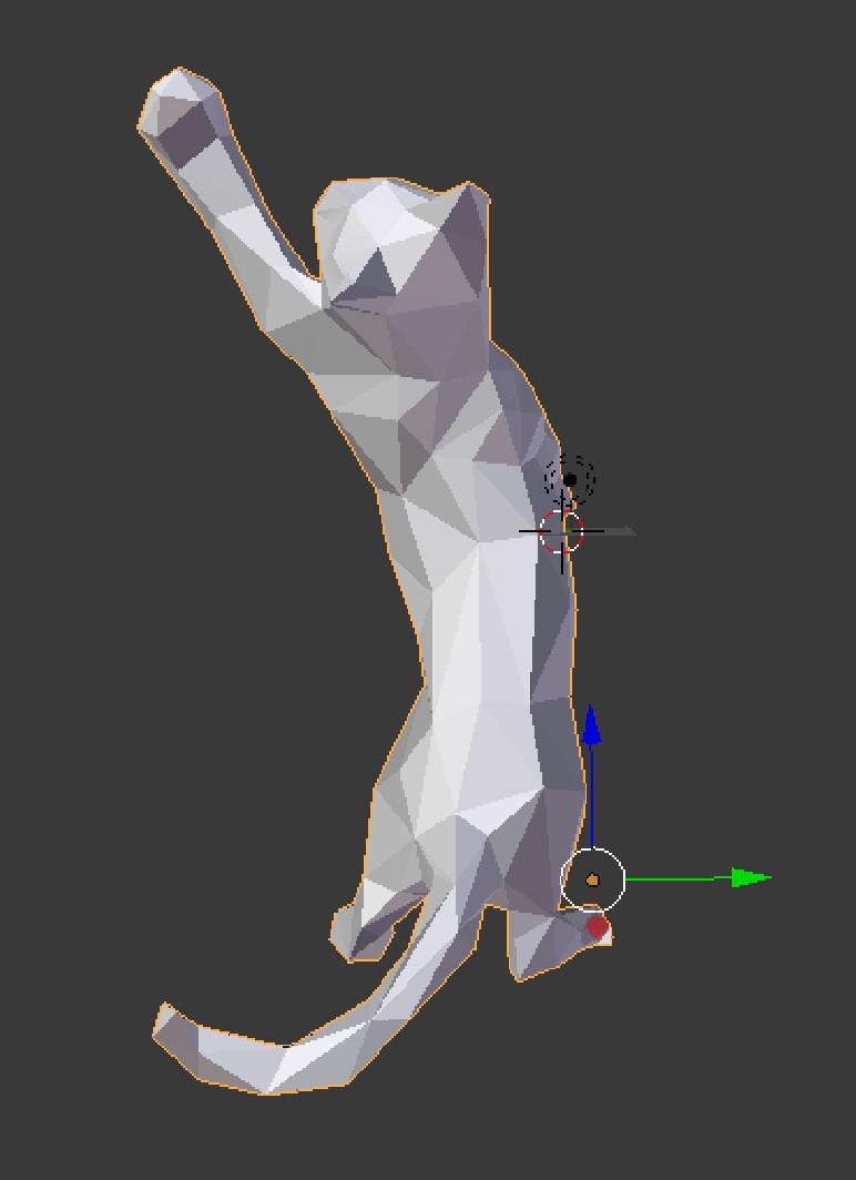 Reaching Cat 461 Faces