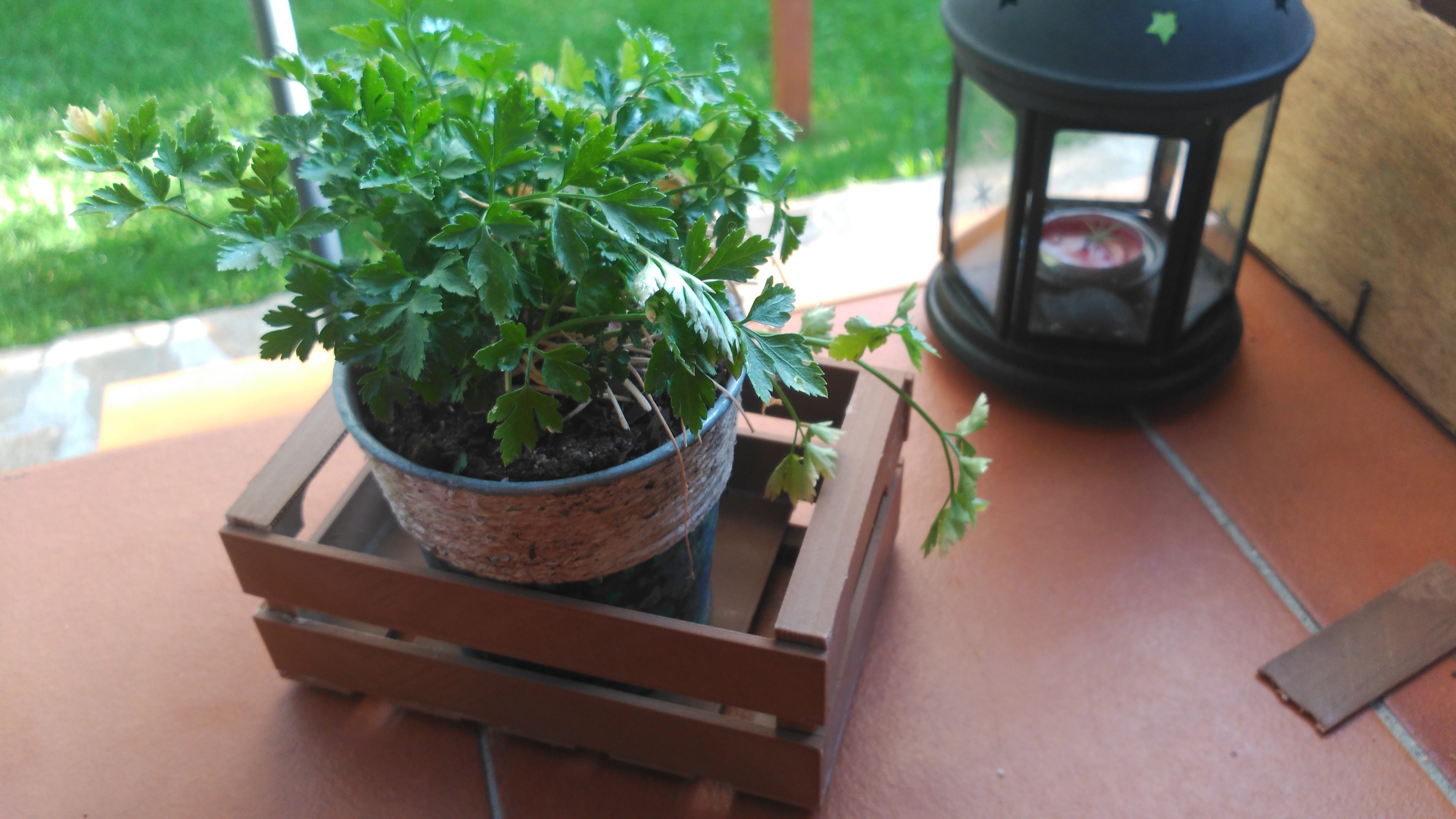 caja de madera vintage (vintage wooden box)