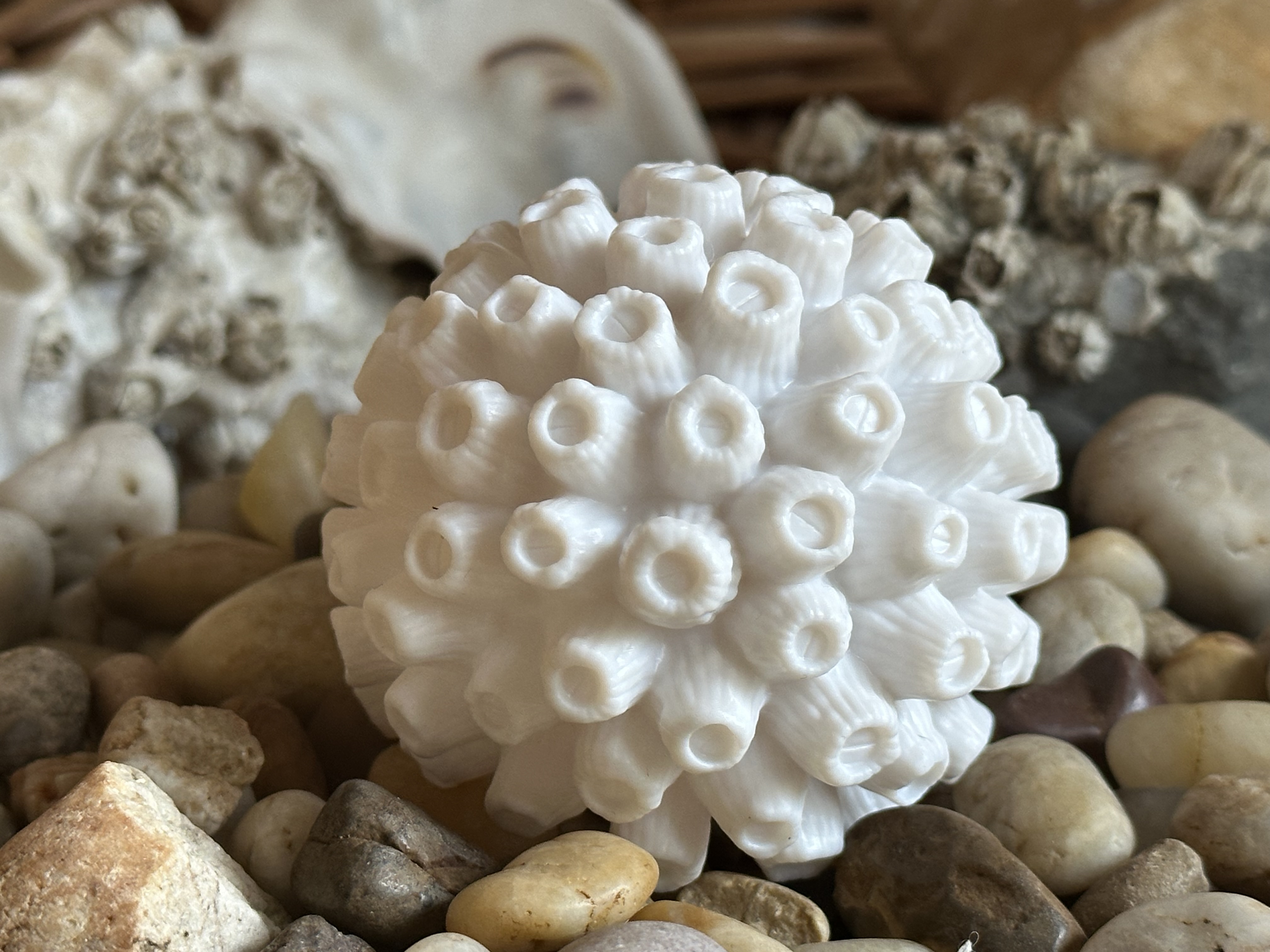 Barnacle Ball