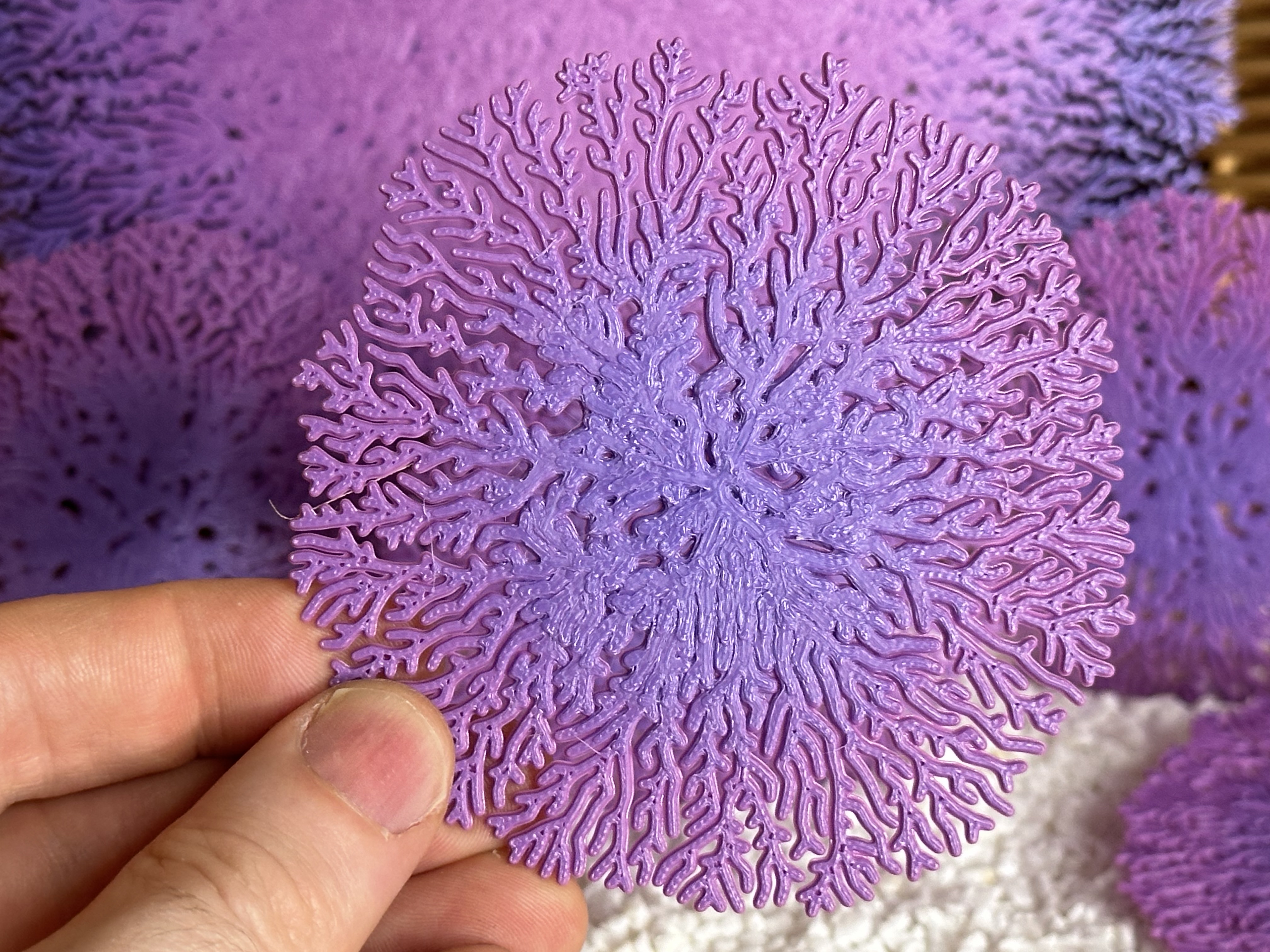 Radial Mycelium