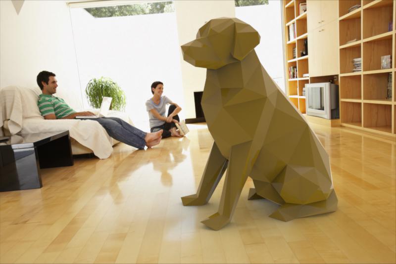 Labrador Retriever Dog