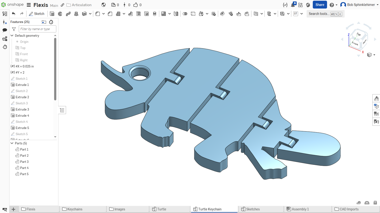 Turtle flexi keychain
