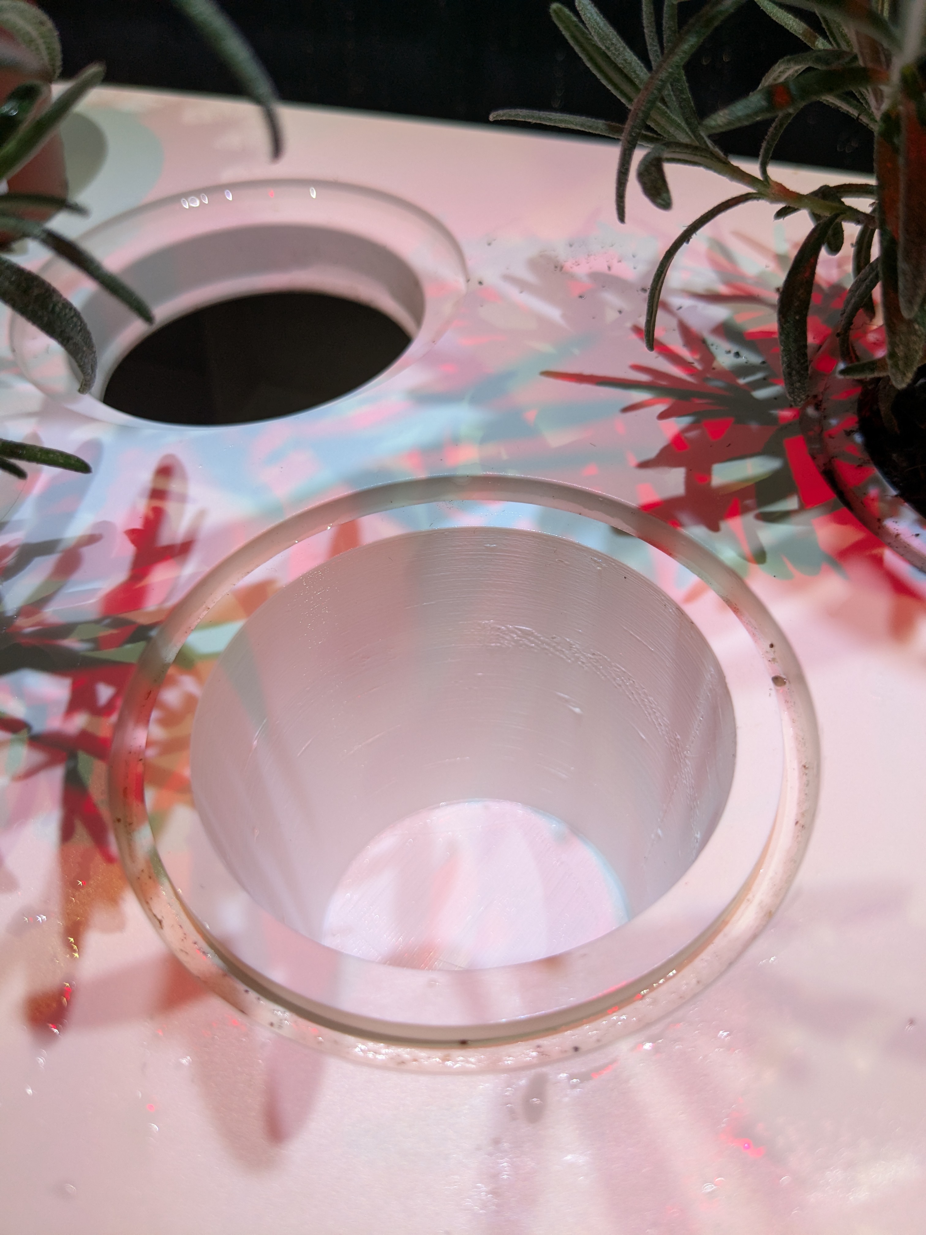 Click & Grow - Closed off 'dry' pod