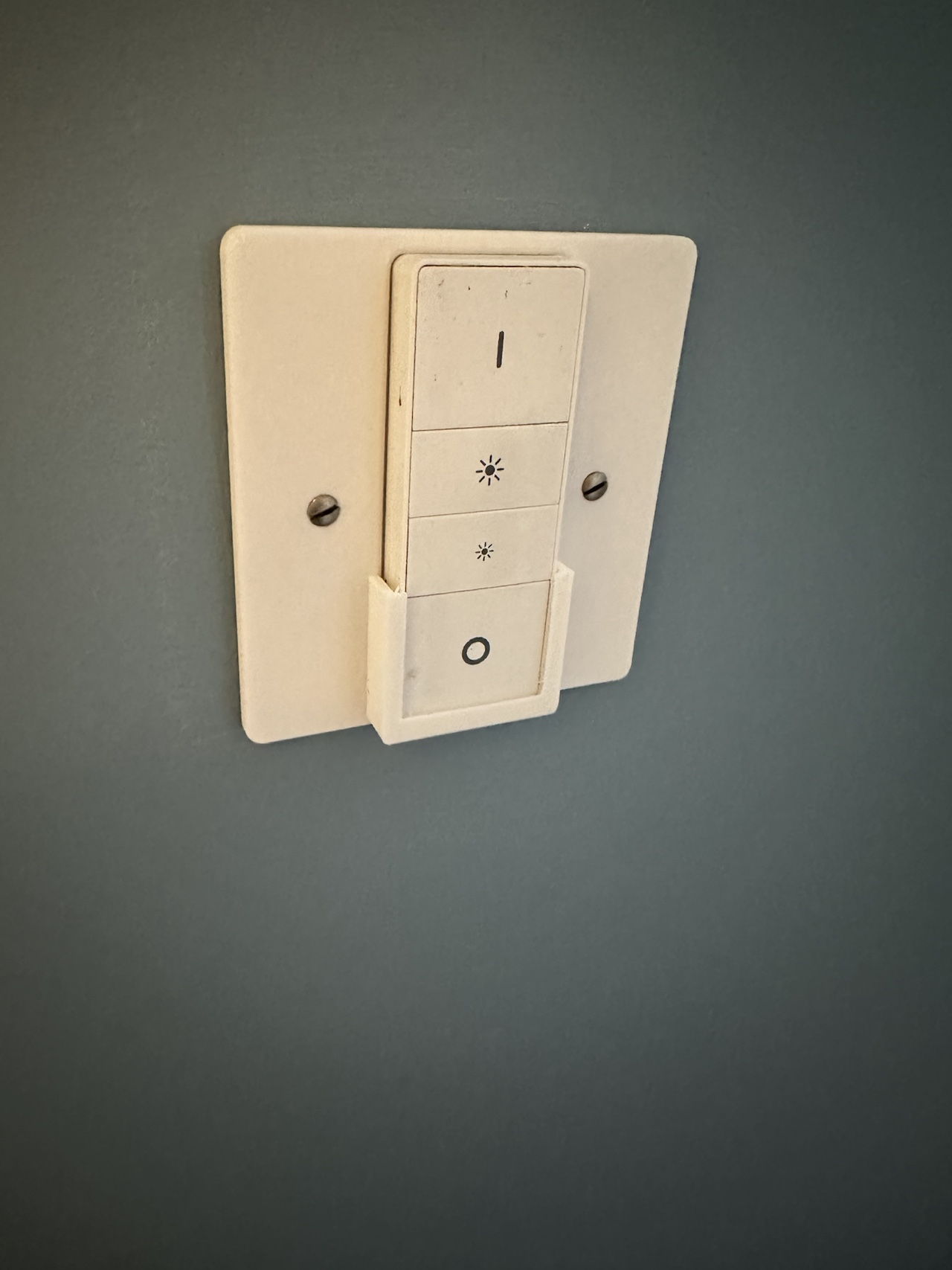 Philips Hue UK Light Switch Replacement With Cage Tray