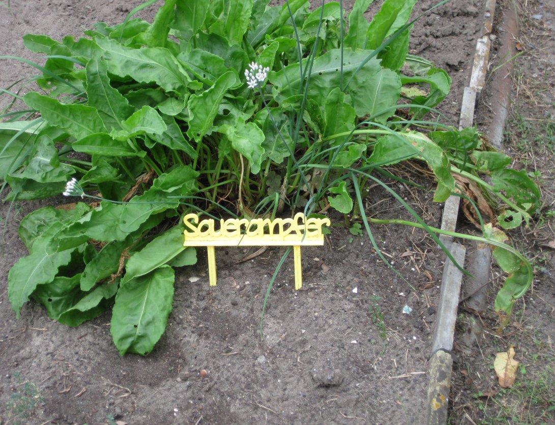 Customiser: Herbs/plants sign generator