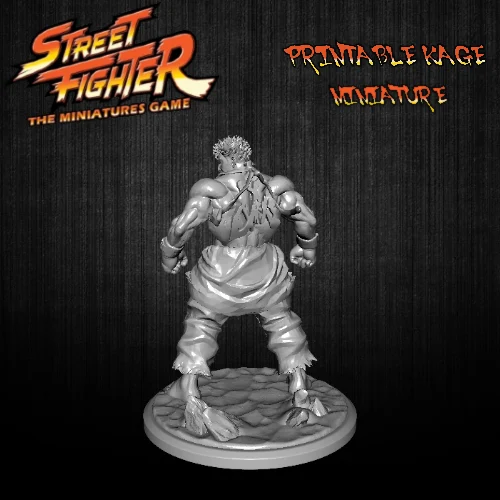 Kage Alternate Sculpt for Evil Ryu Street Fighter Miniatures Game