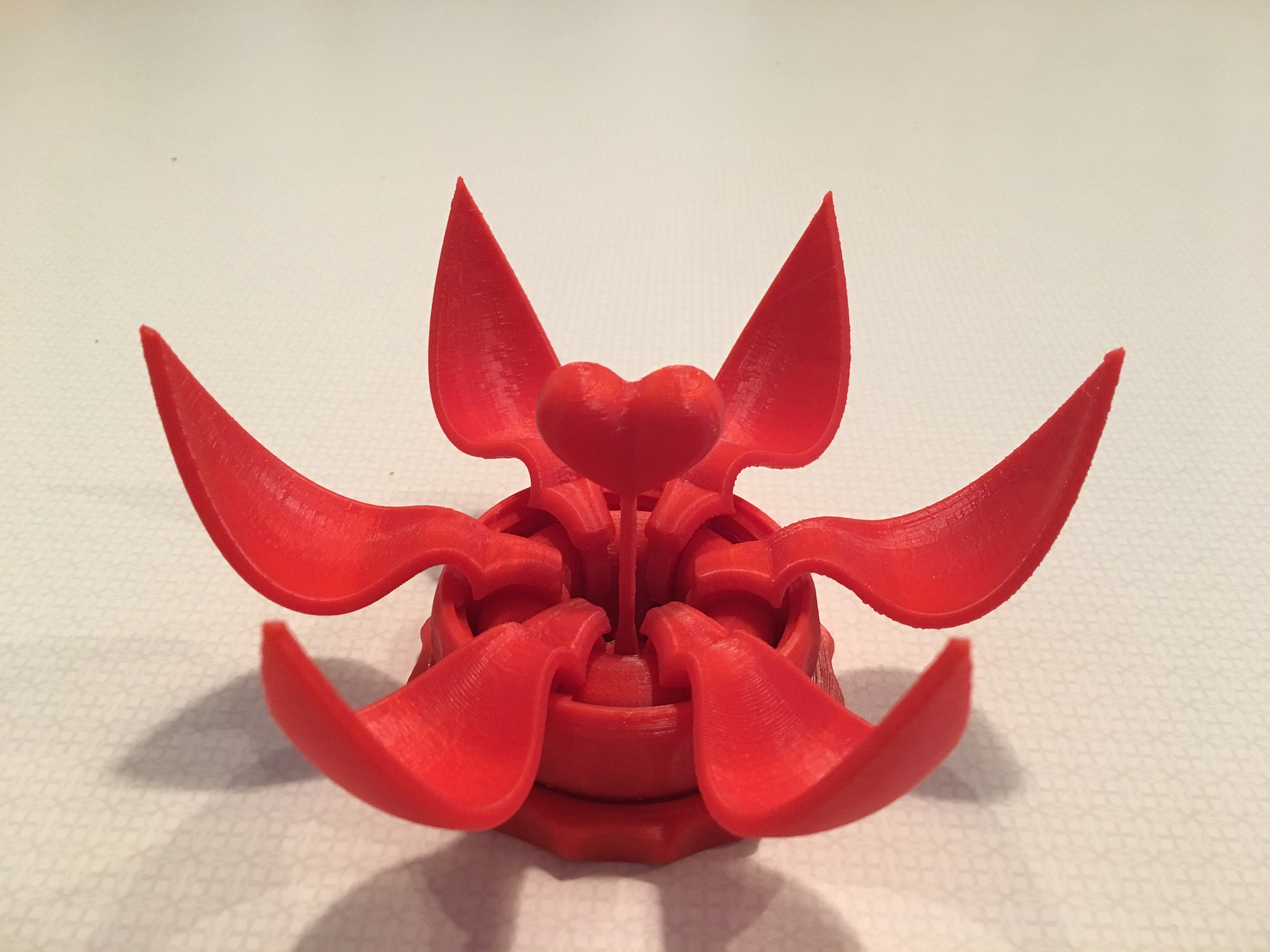 Valentines Day Blooming Flower Gift Box