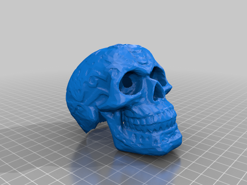 Skull for trailer hitch
