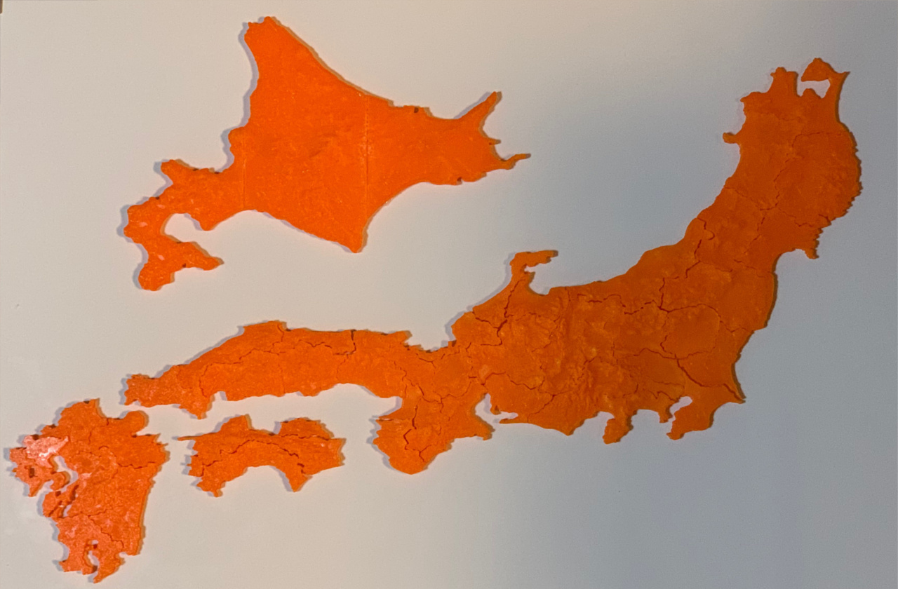 Japan Prefecture Map Puzzle Pieces 3/3