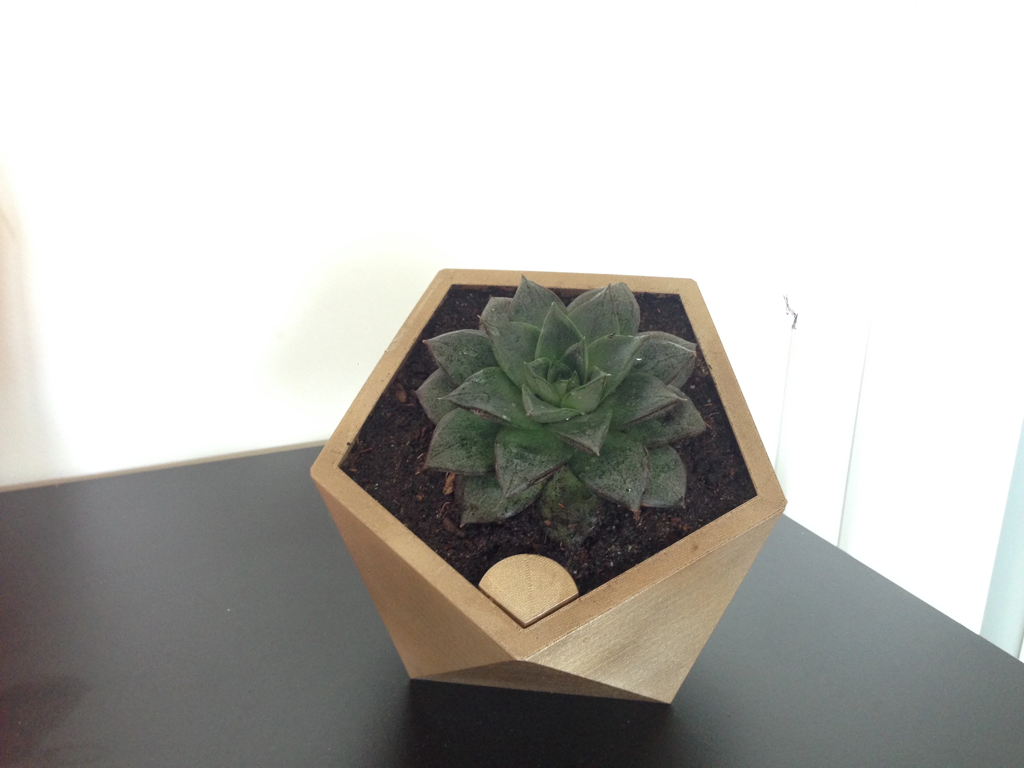 Penta self watering flower pot