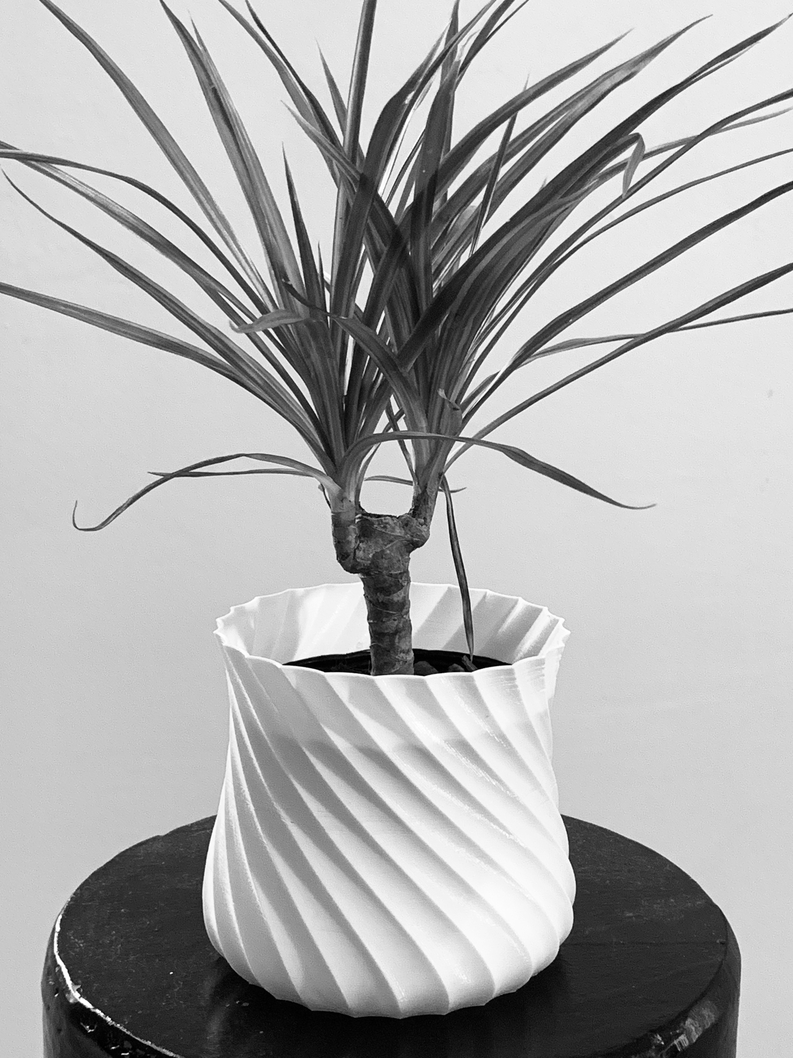 Plant Pot Cover 3