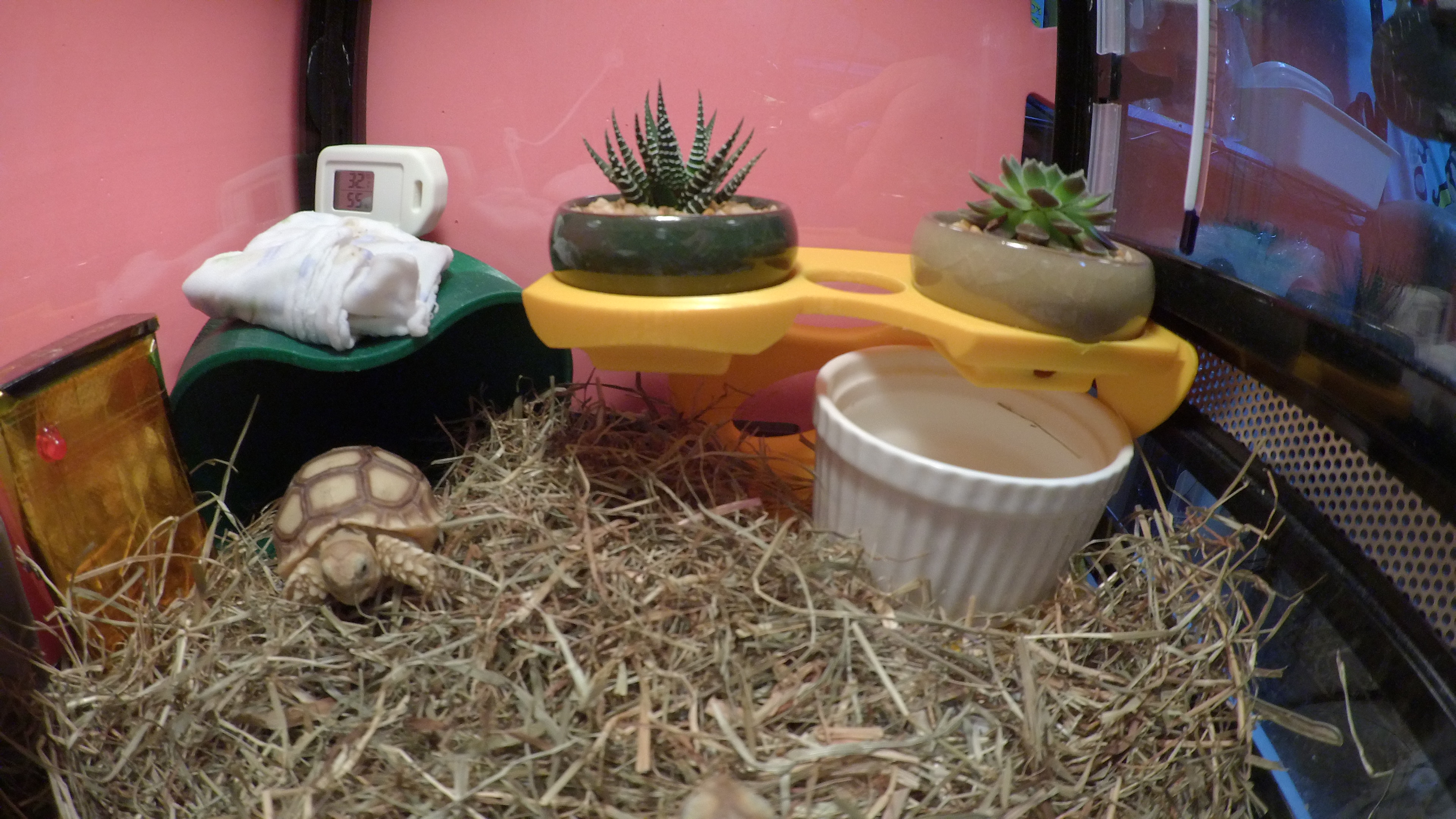 Multi-Level Mini Pots Stand
