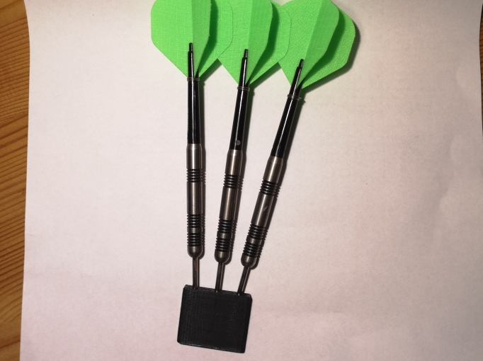 Steeldart Point Protector