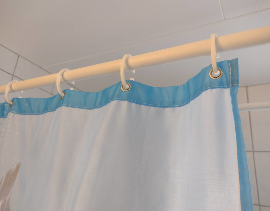 Shower hook