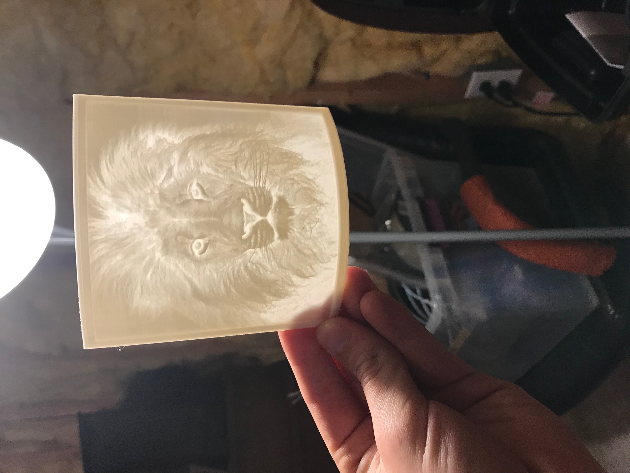Lion outward curve lithophane