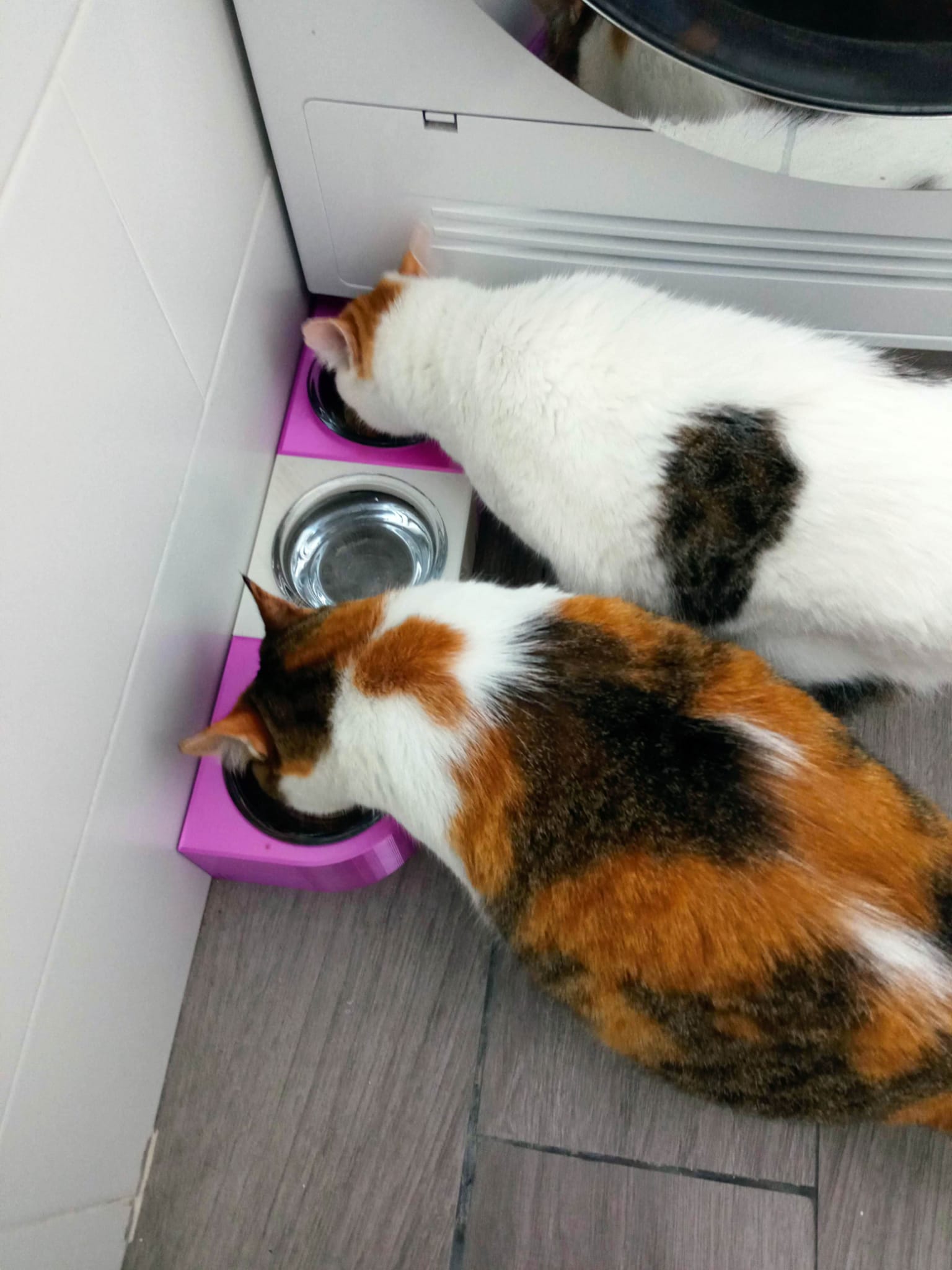 Ikea vardagen comedero para gatos modular