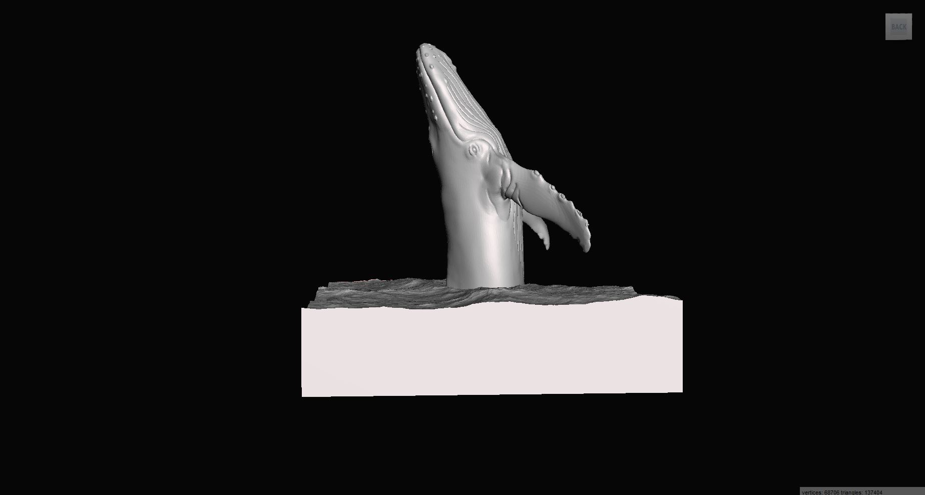 Whale in the Ocean + Remixing Tutorial
