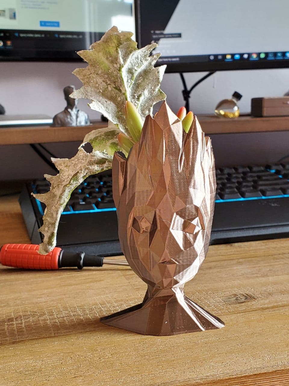 Groot succulent planter