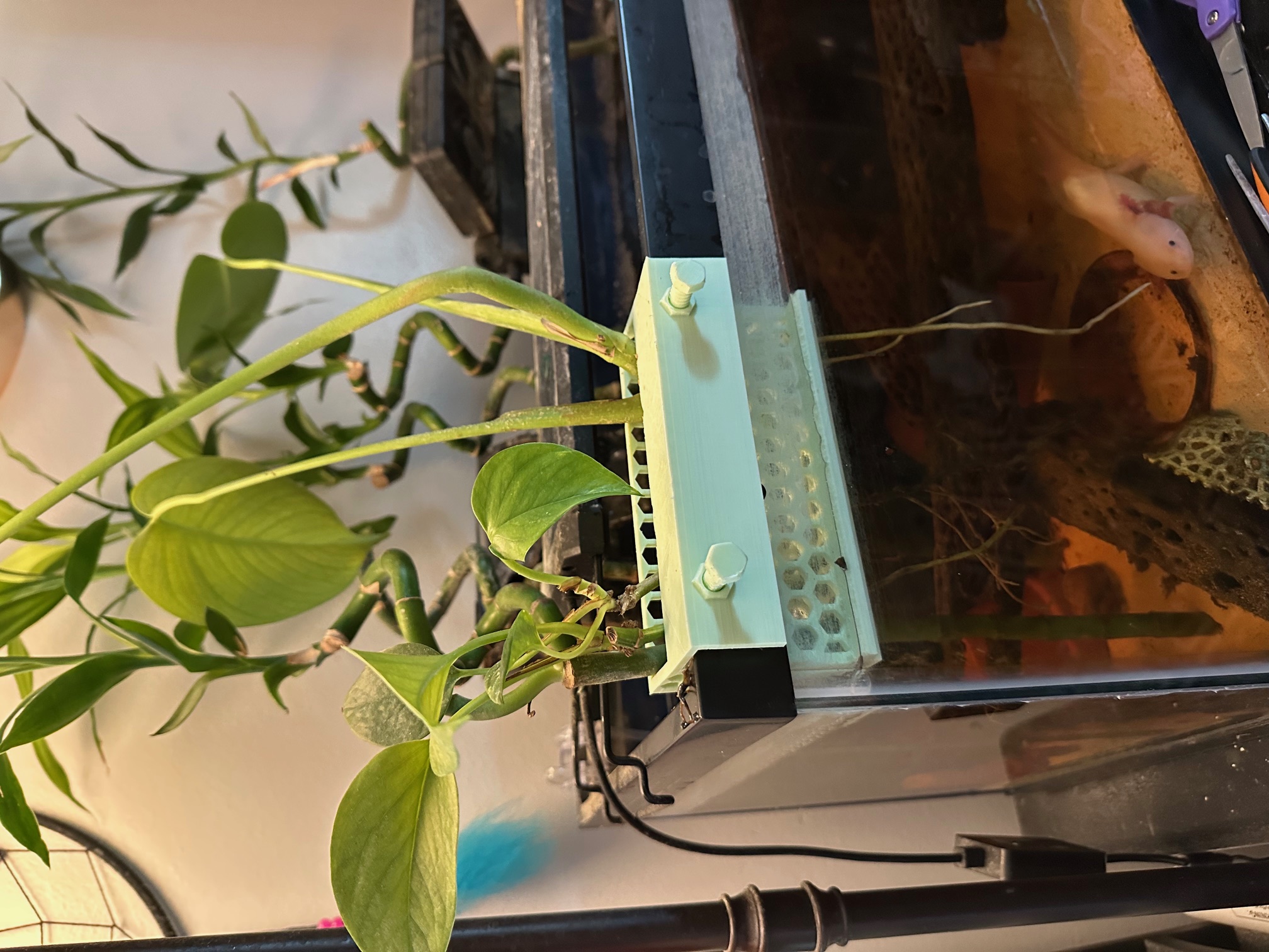Rimmed Tank Planter
