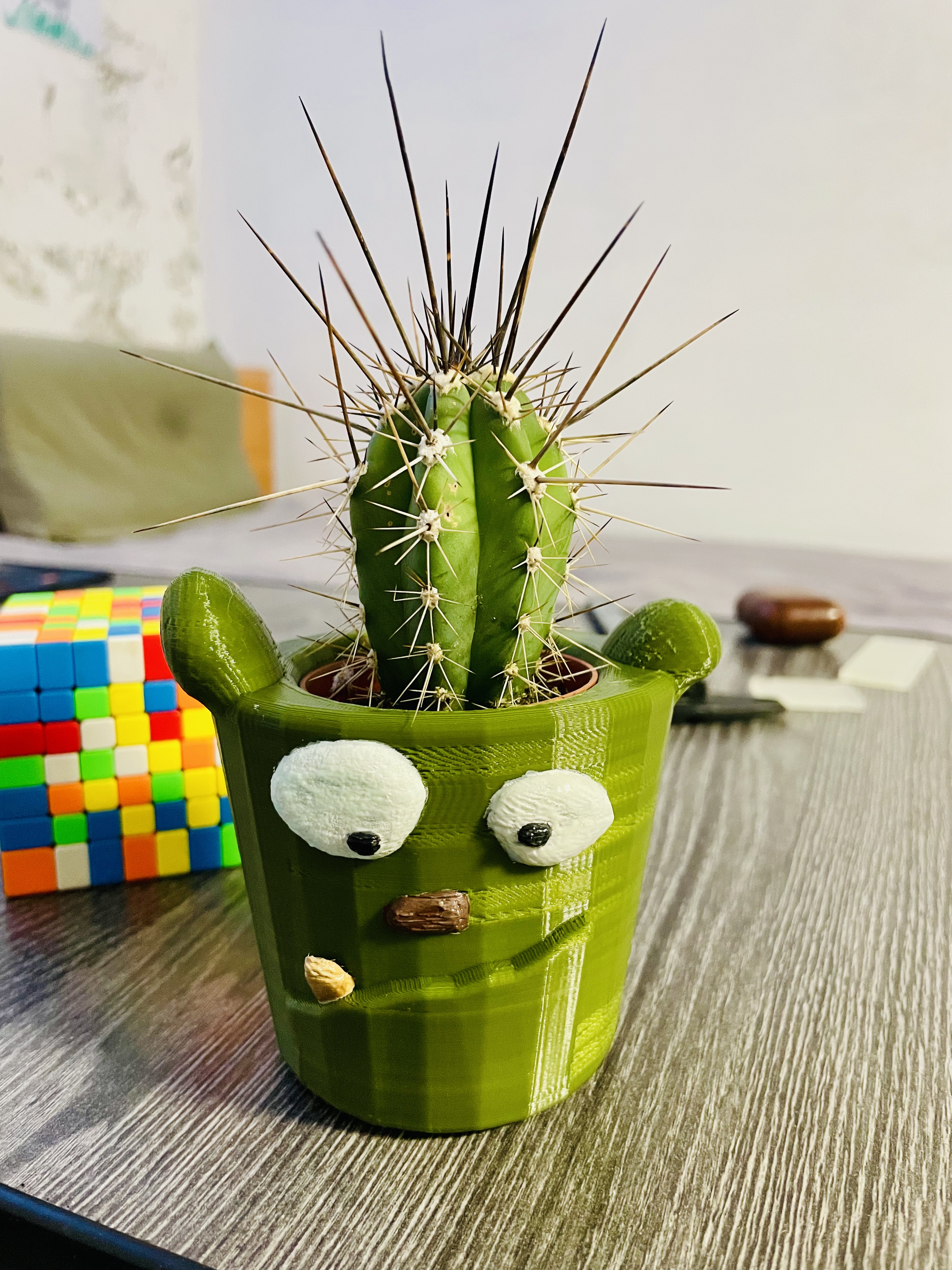 Funny Face Boris Planter