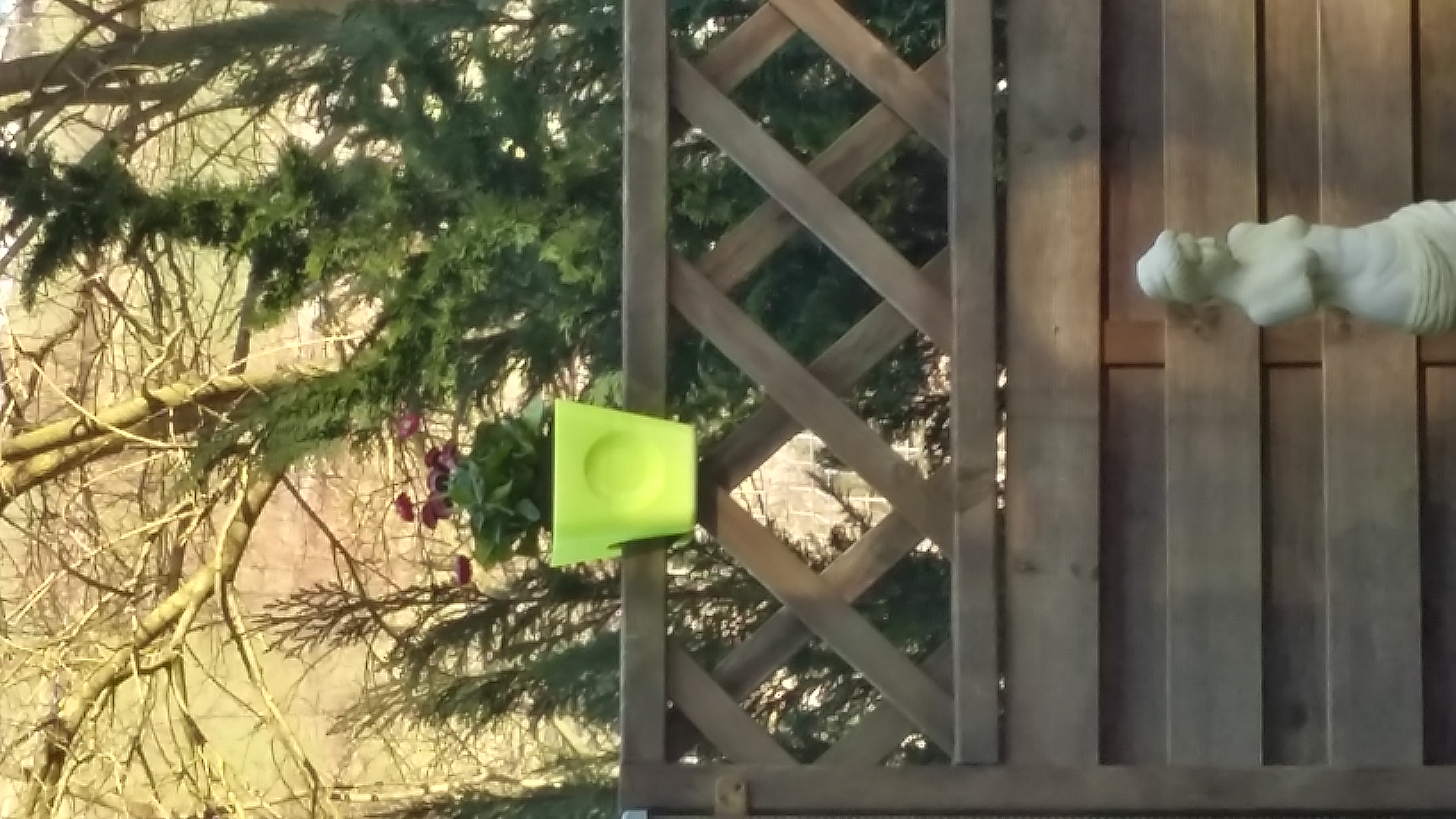 Plant Pot / Blumentopf / Hanging Planter / Hängeblumentopf
