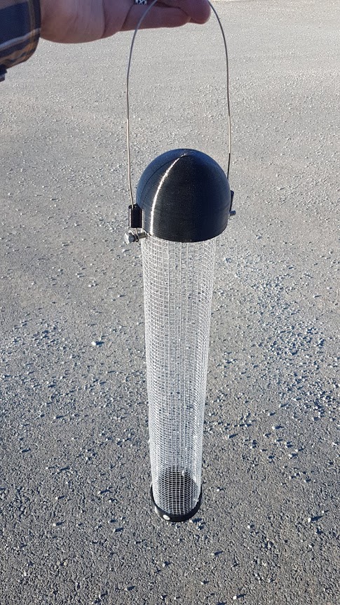 Bird Feeder Black Oil Sunflower Seed