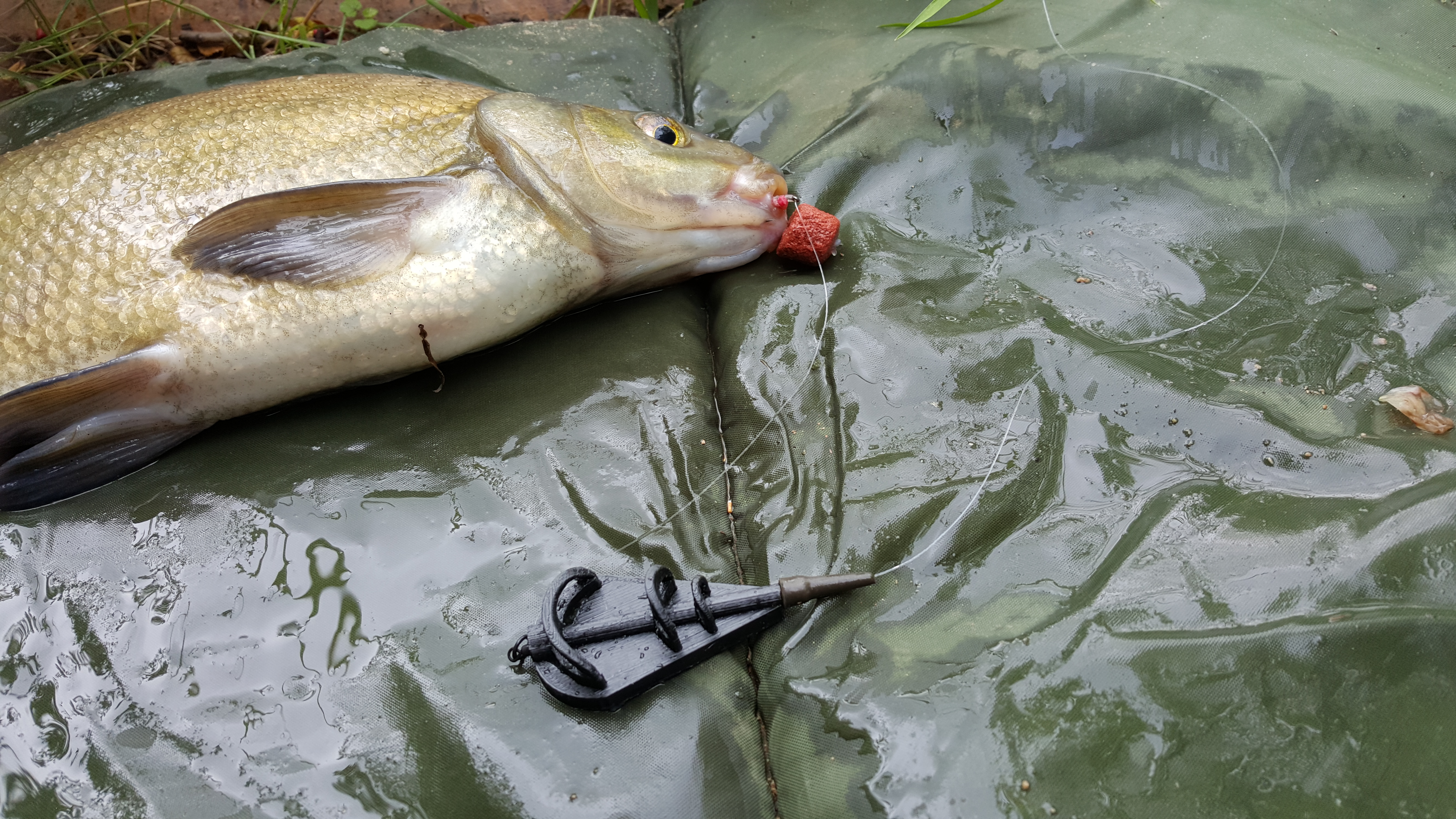 INLINE METHOD FEEDER