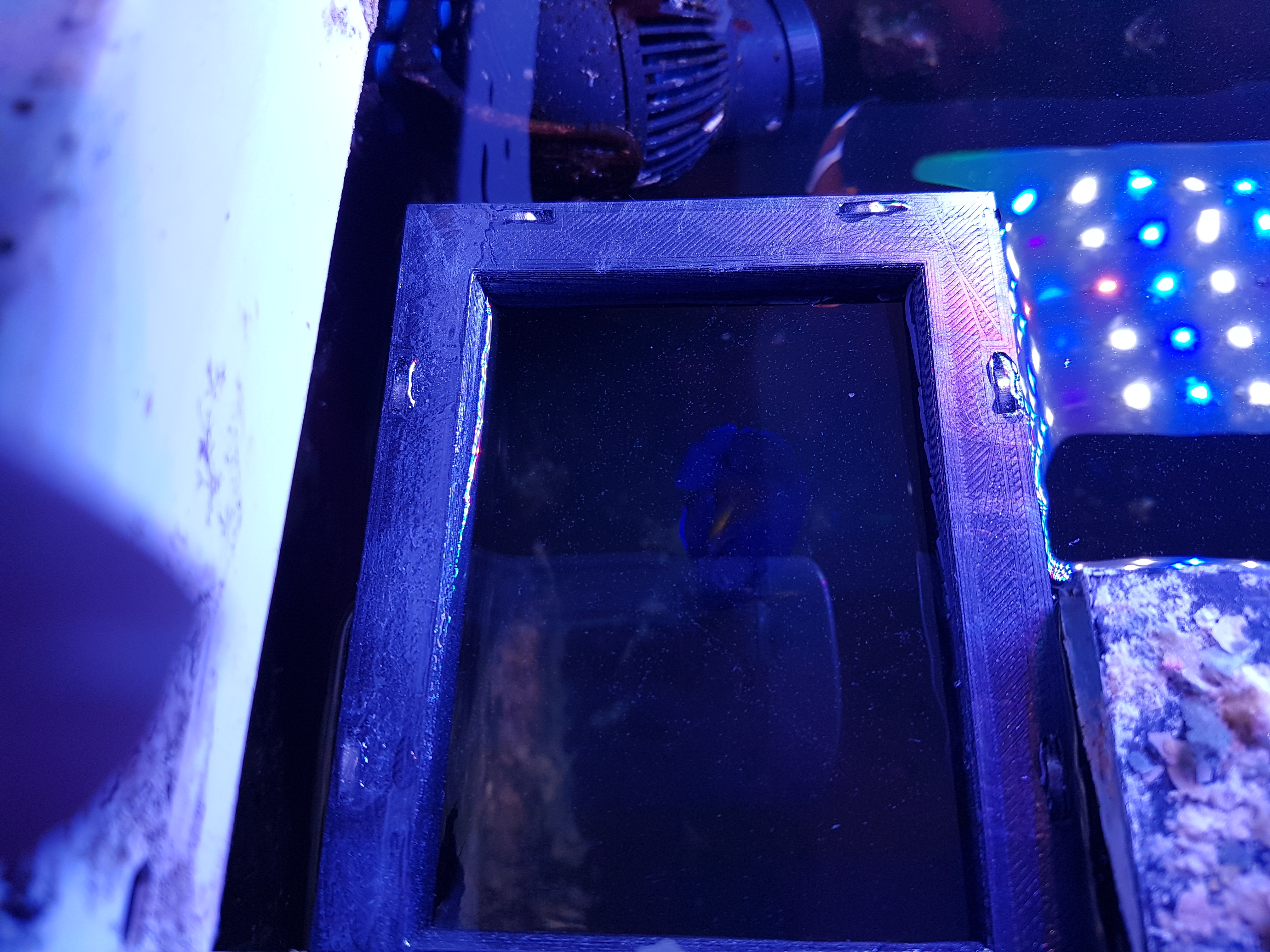 Aquarium feeding ring swimming Neodym