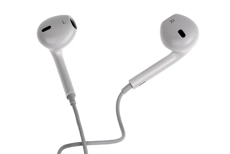 Apple Headphone Case