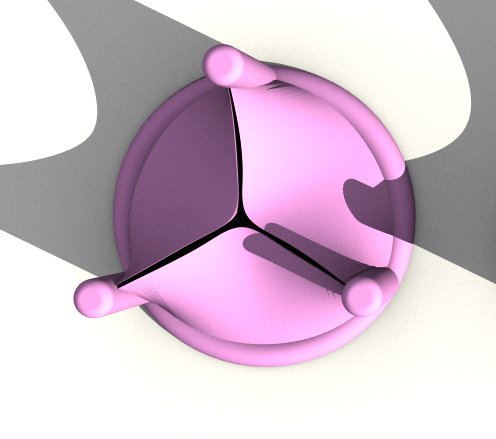 Mitral Valve Scaffold Example