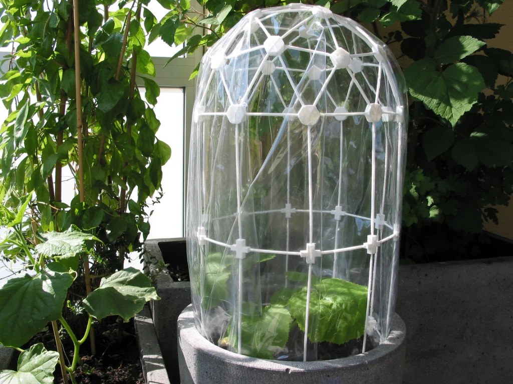 Greenhouse-Dome (clickable) / Treibhausdom