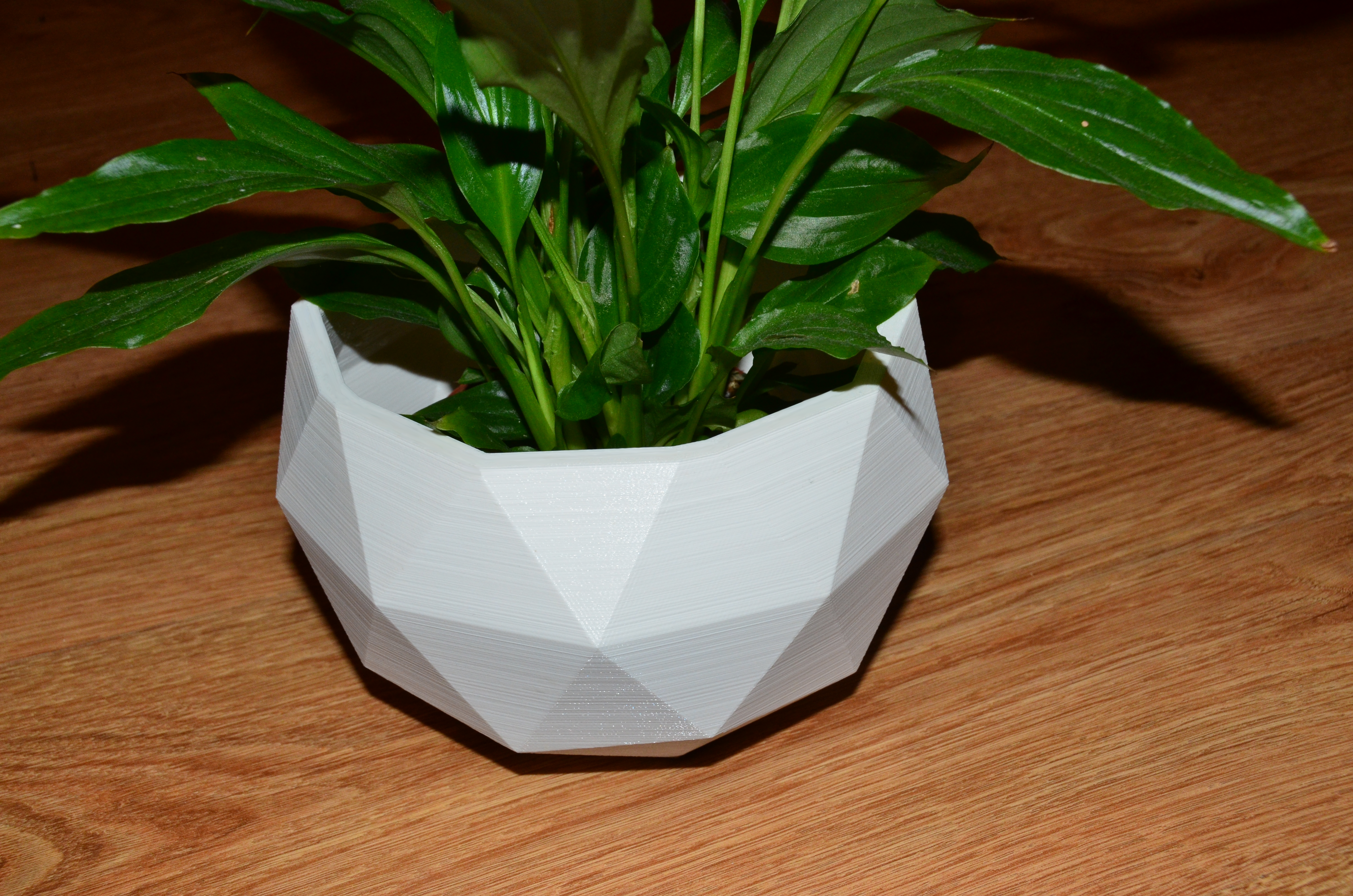 Flower Pot
