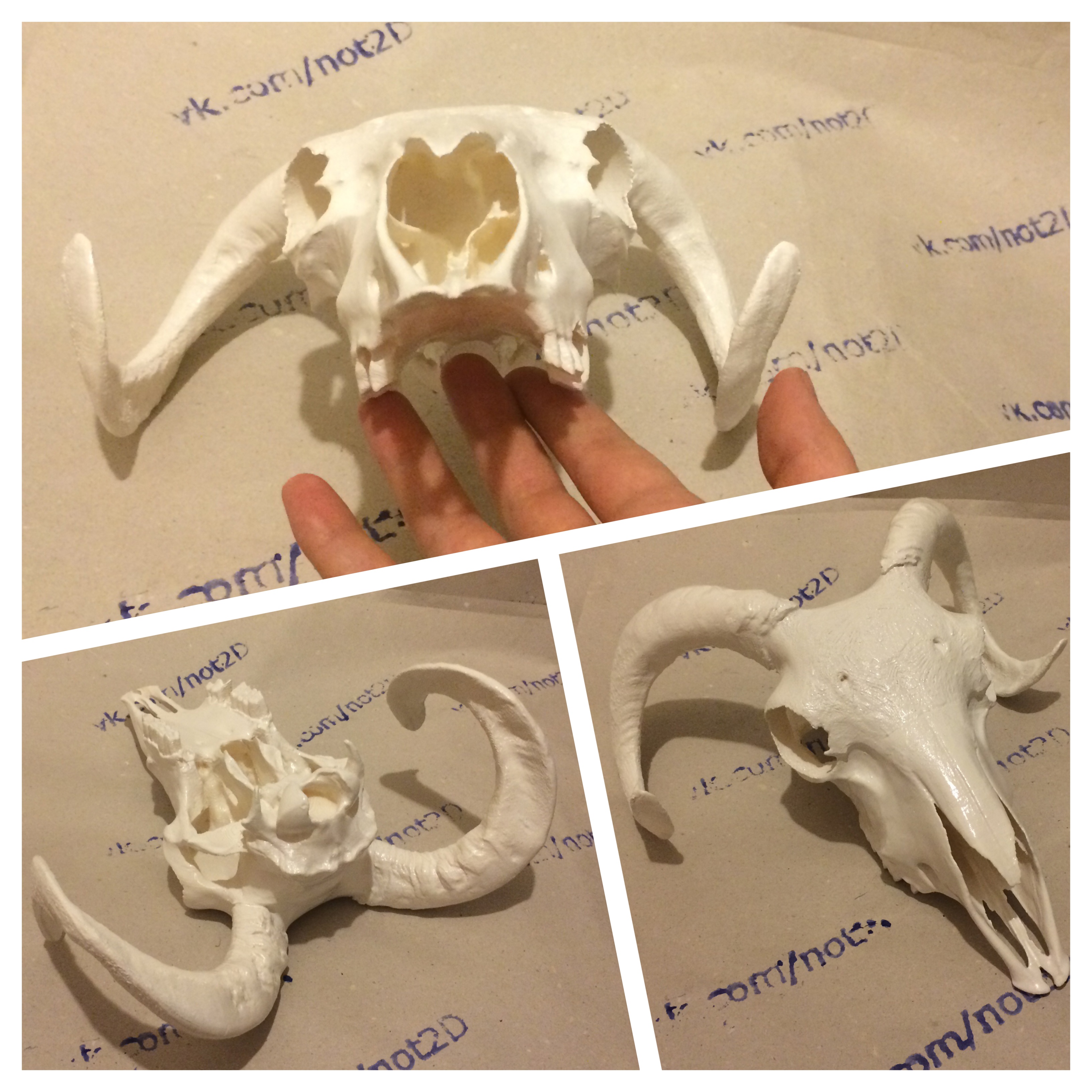 goal skull