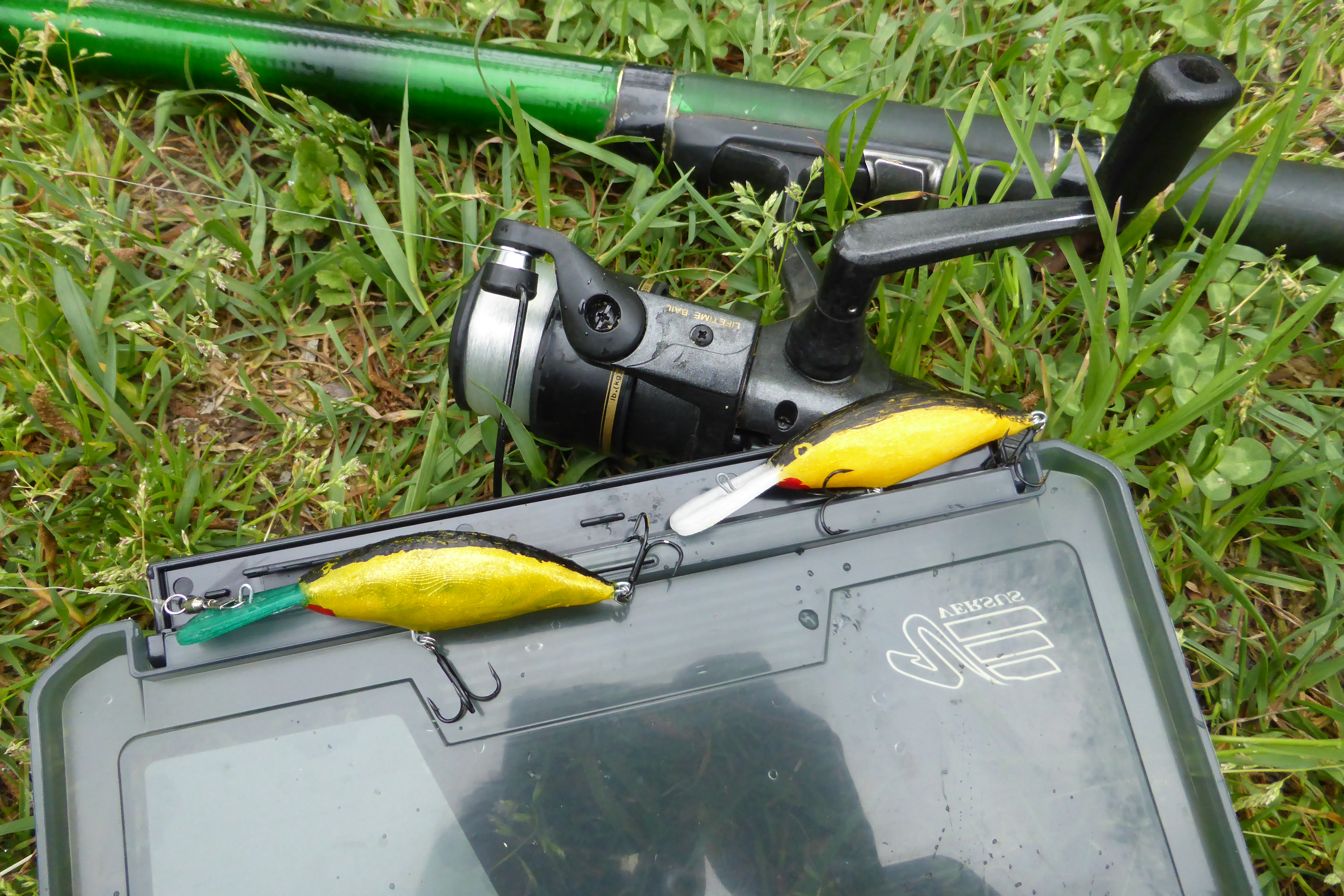 The Minnow Lure