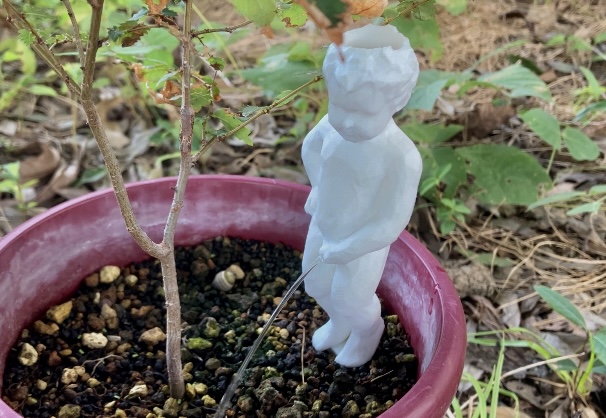Manneken Pis for plants