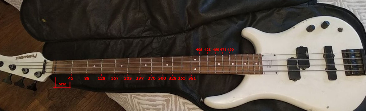 Bass guitar lineup