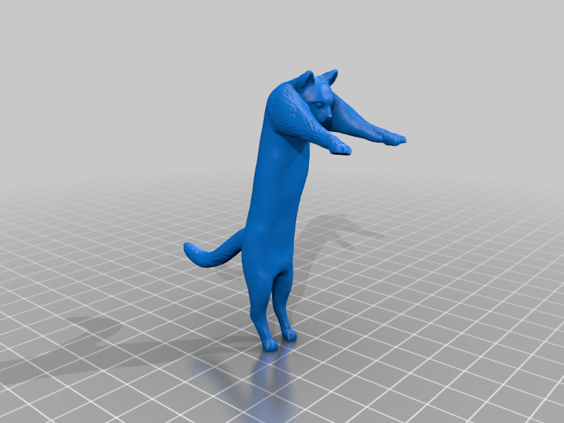 Long cat