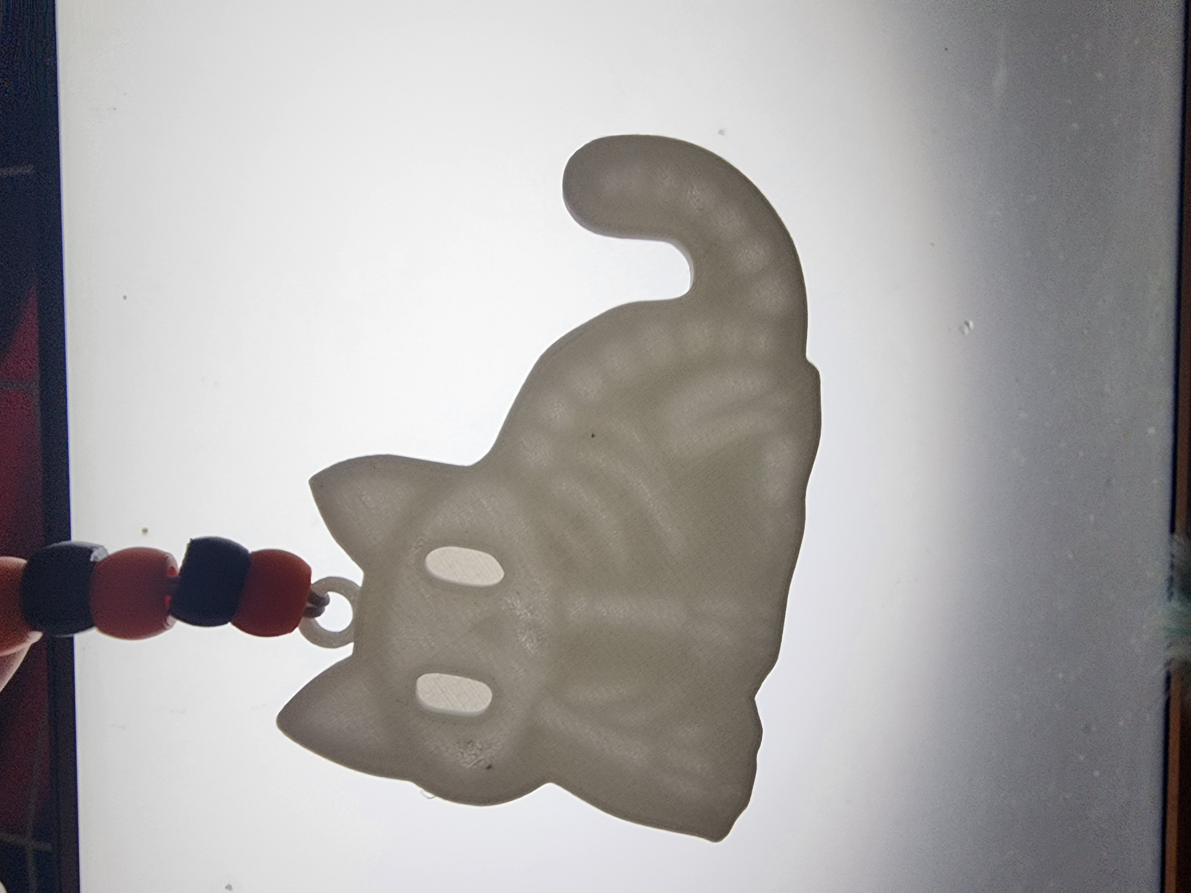 Xray Ghost Cat