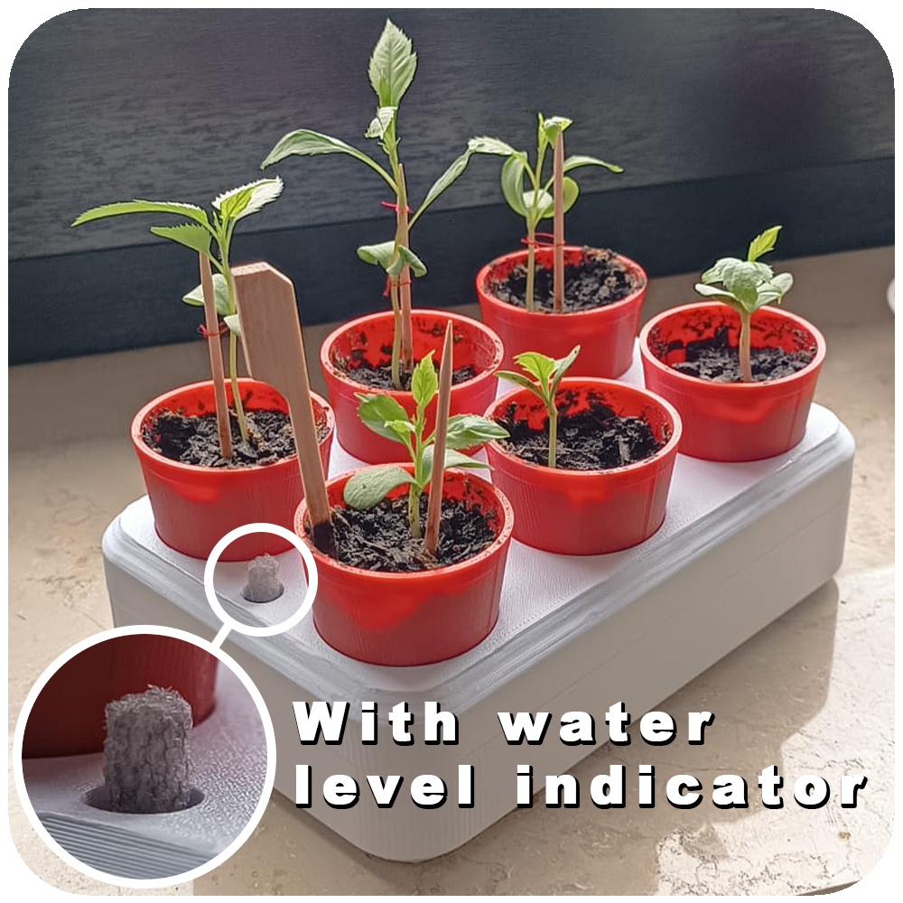 Windowsill plant growth station with water level indicator