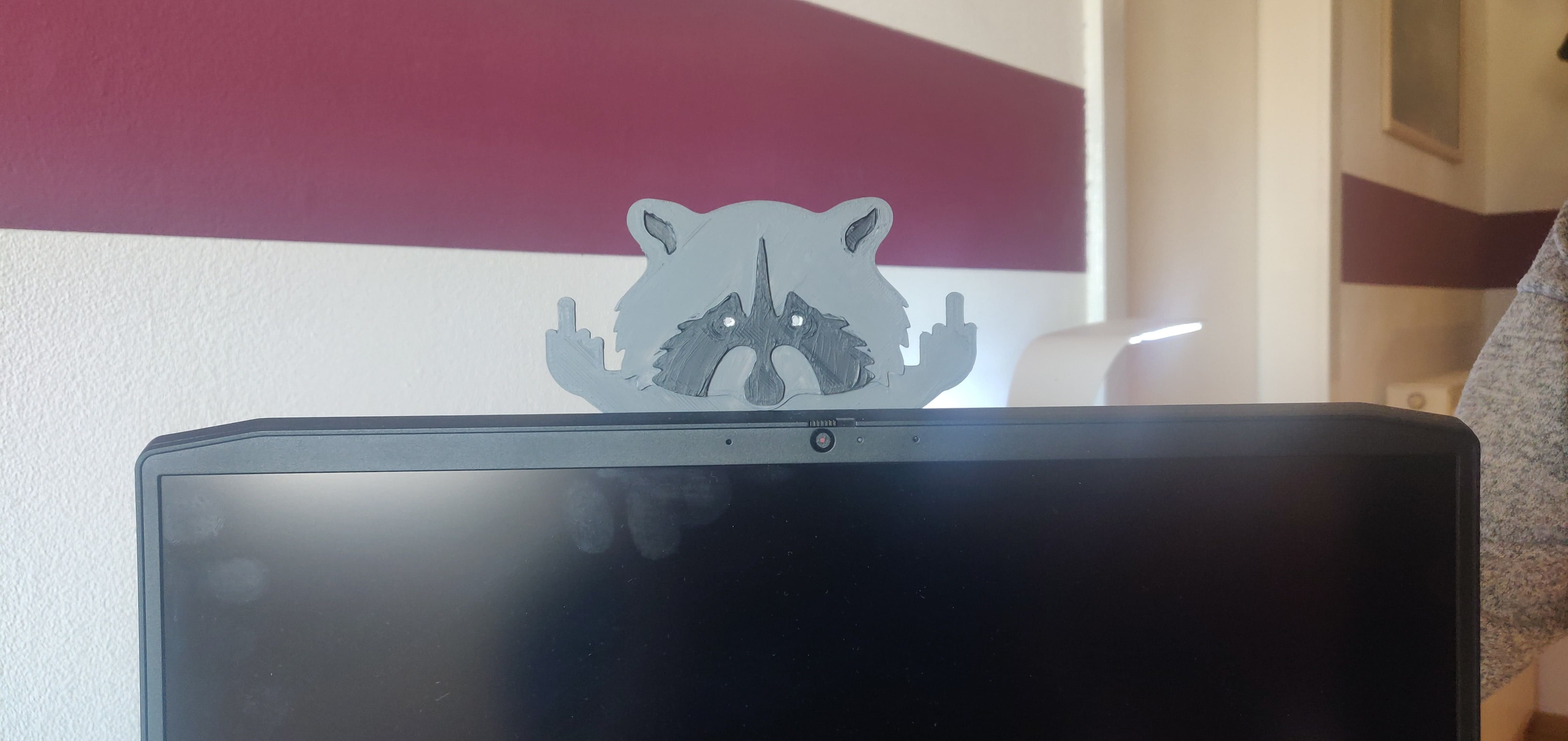 Racoon middlefinger