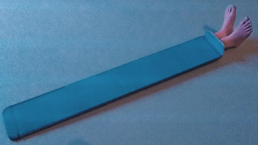 bookmark / marque page