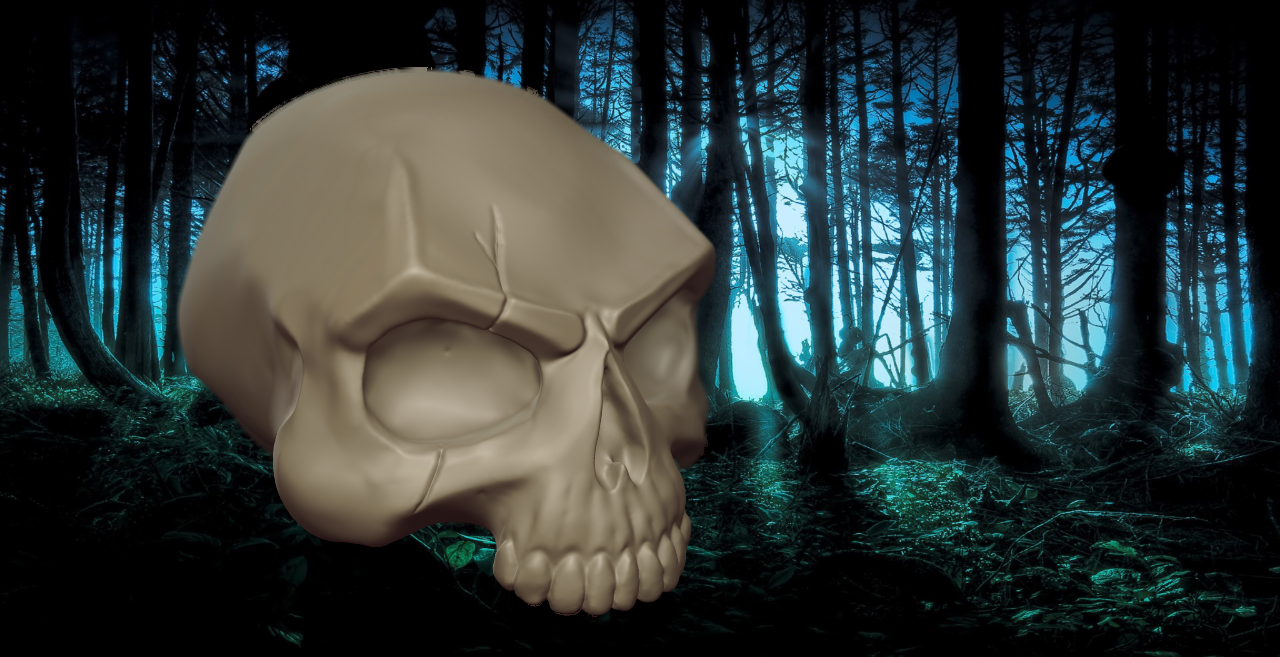 SKULL - SCAR
