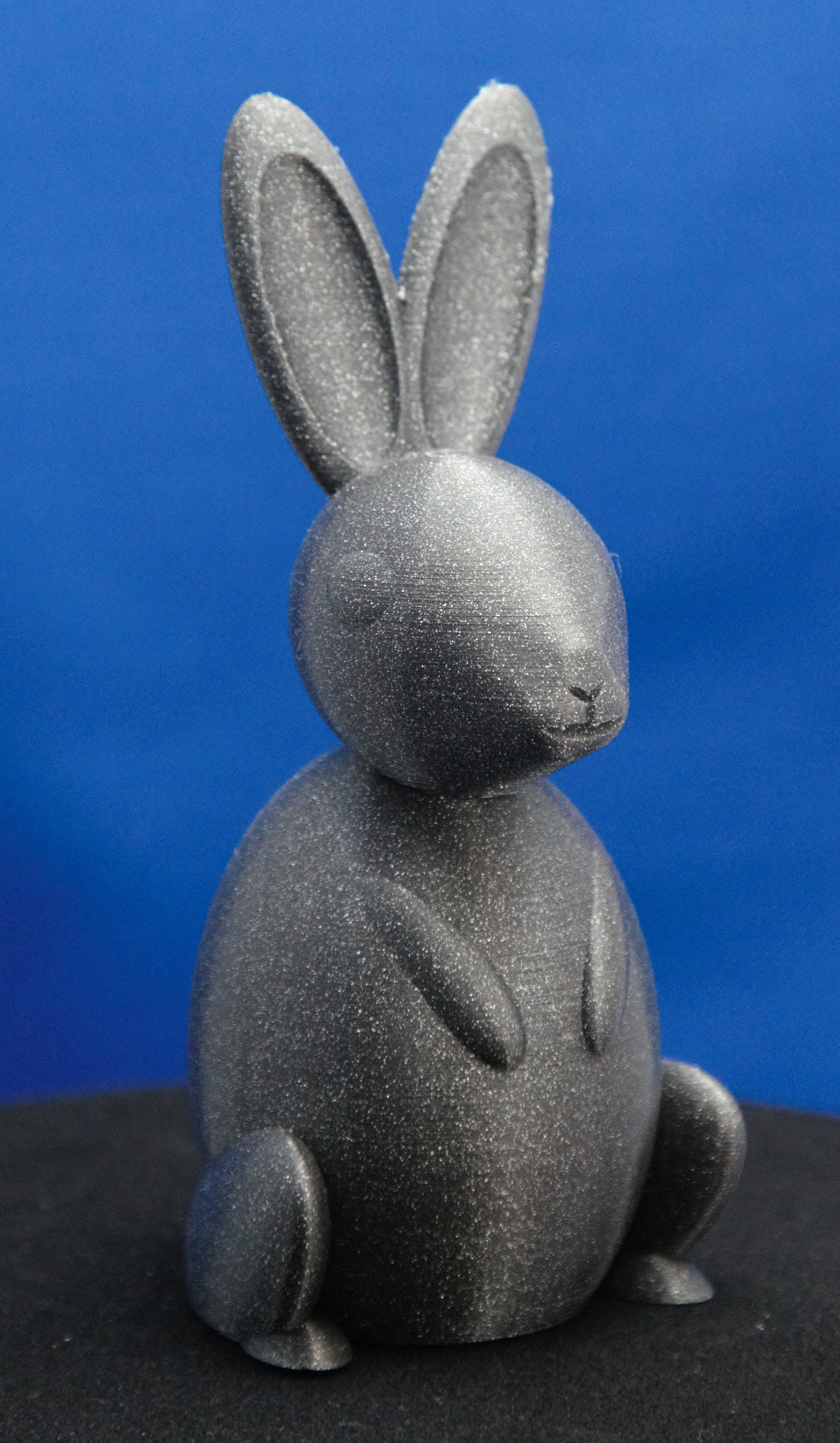 Easter Bunny_V9