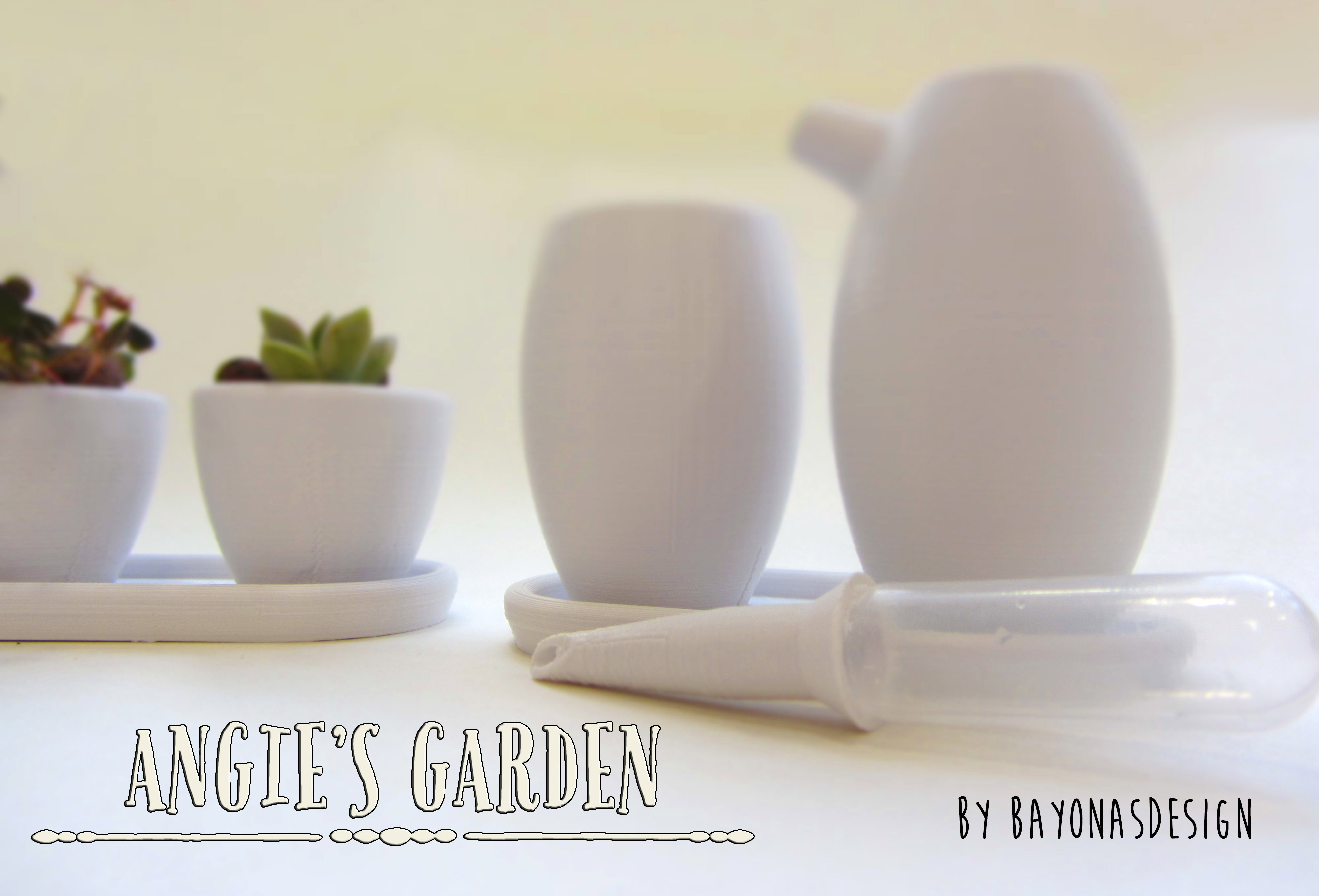 Angie's Garden