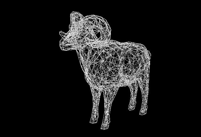 Wire Frame RAM