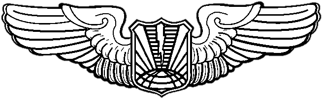USAF RPA Wings