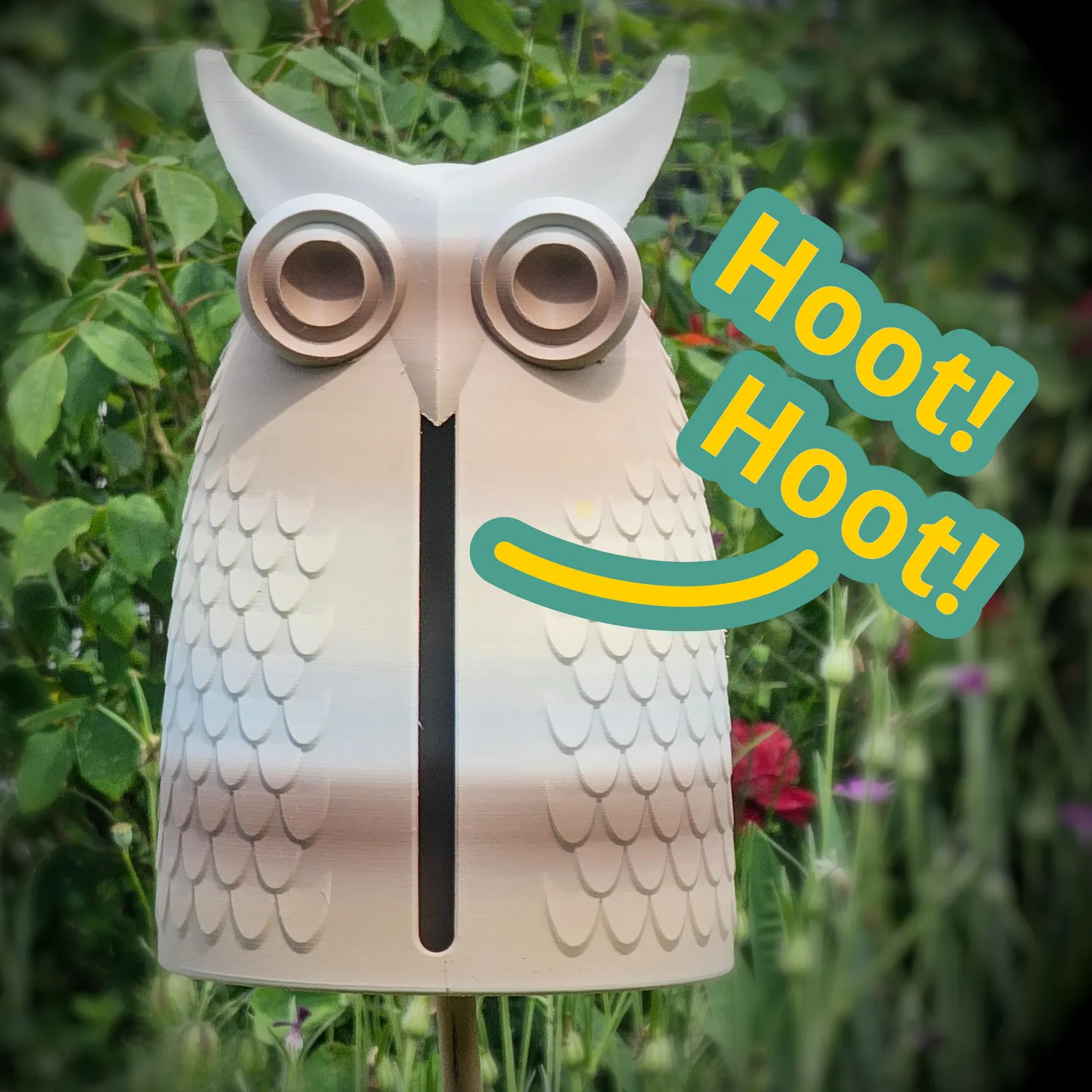 Hoot Hoot! Hooting Owl